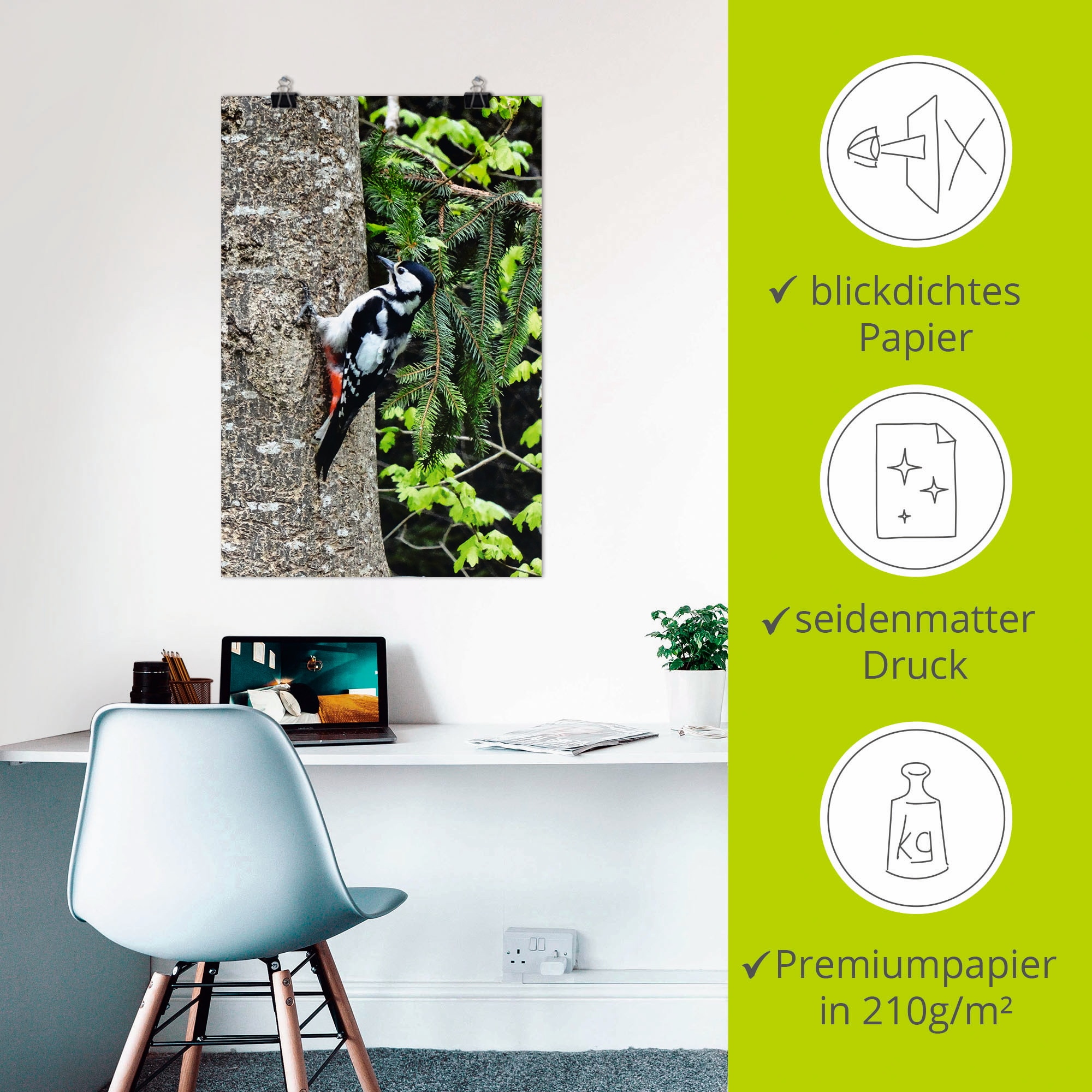 Artland »Buntspecht im Wald« Vögel 1 Stk. tlg. ohne Rahmen