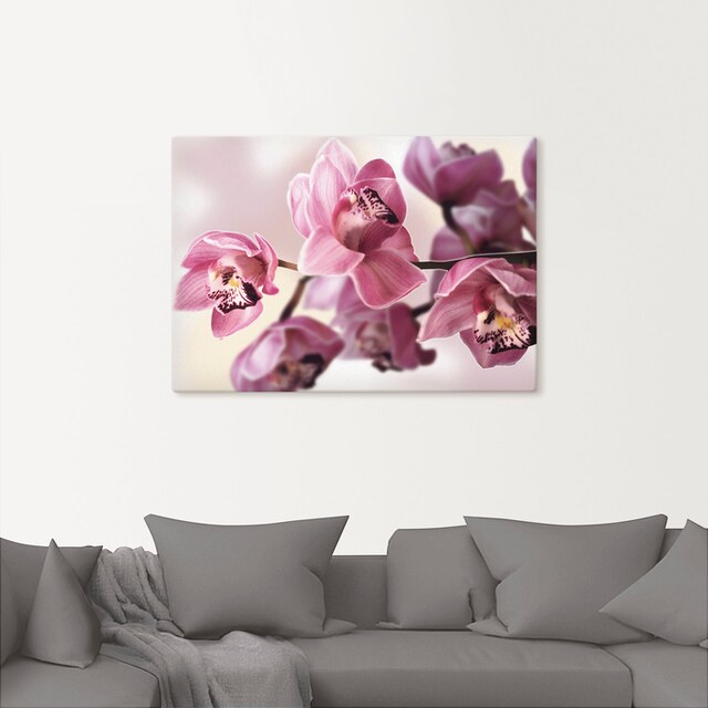Artland Wandbild »Rosa Orchidee«, Blumenbilder, (1 St.), als Alubild,  Leinwandbild, Wandaufkleber oder Poster in versch. Größen kaufen | BAUR