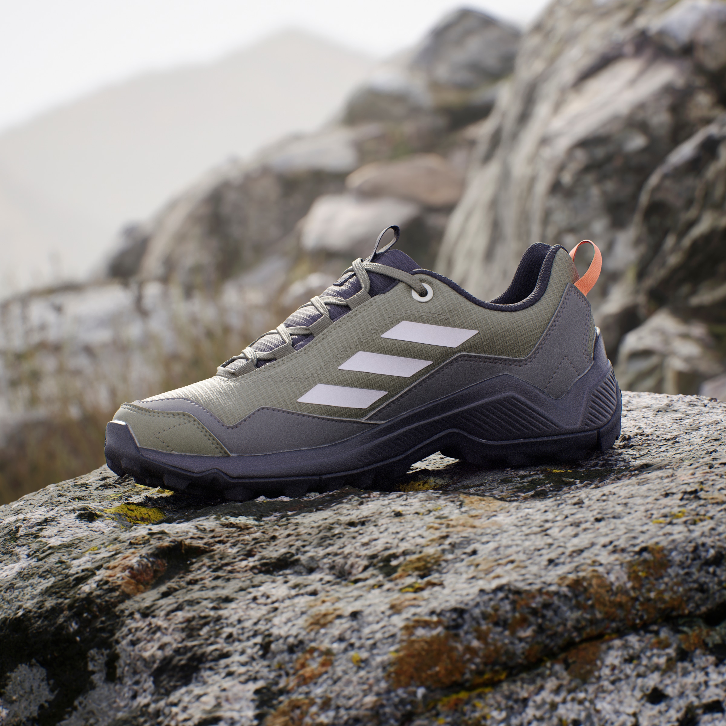 adidas TERREX Wanderschuh »TERREX EASTRAIL GORE-TEX«, wasserdicht