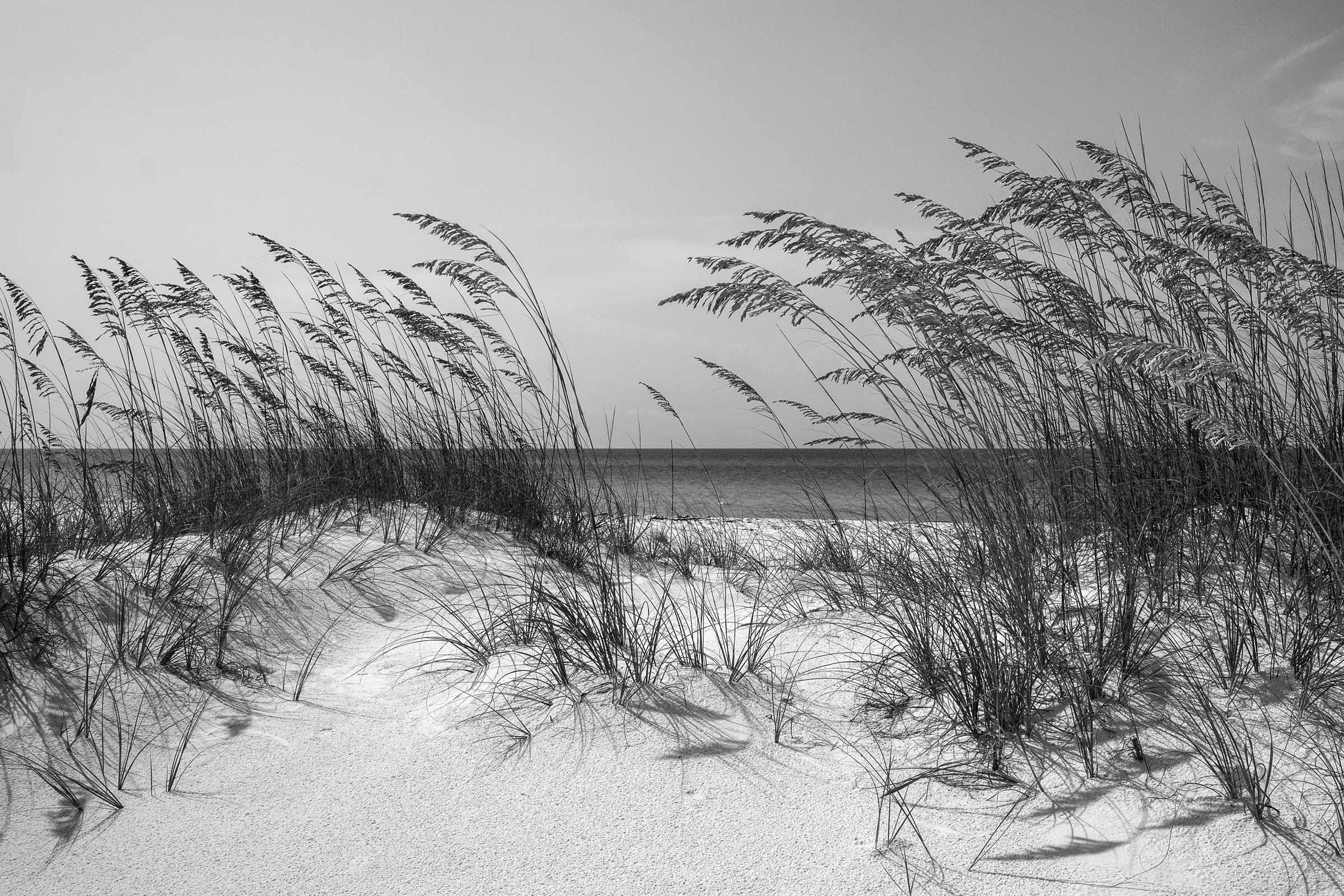 Papermoon 1100000002199 "Strand Schwarz & Weiß"