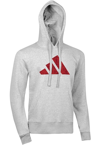 adidas Performance Hoodie »Perfo Script Graphic Hoody«