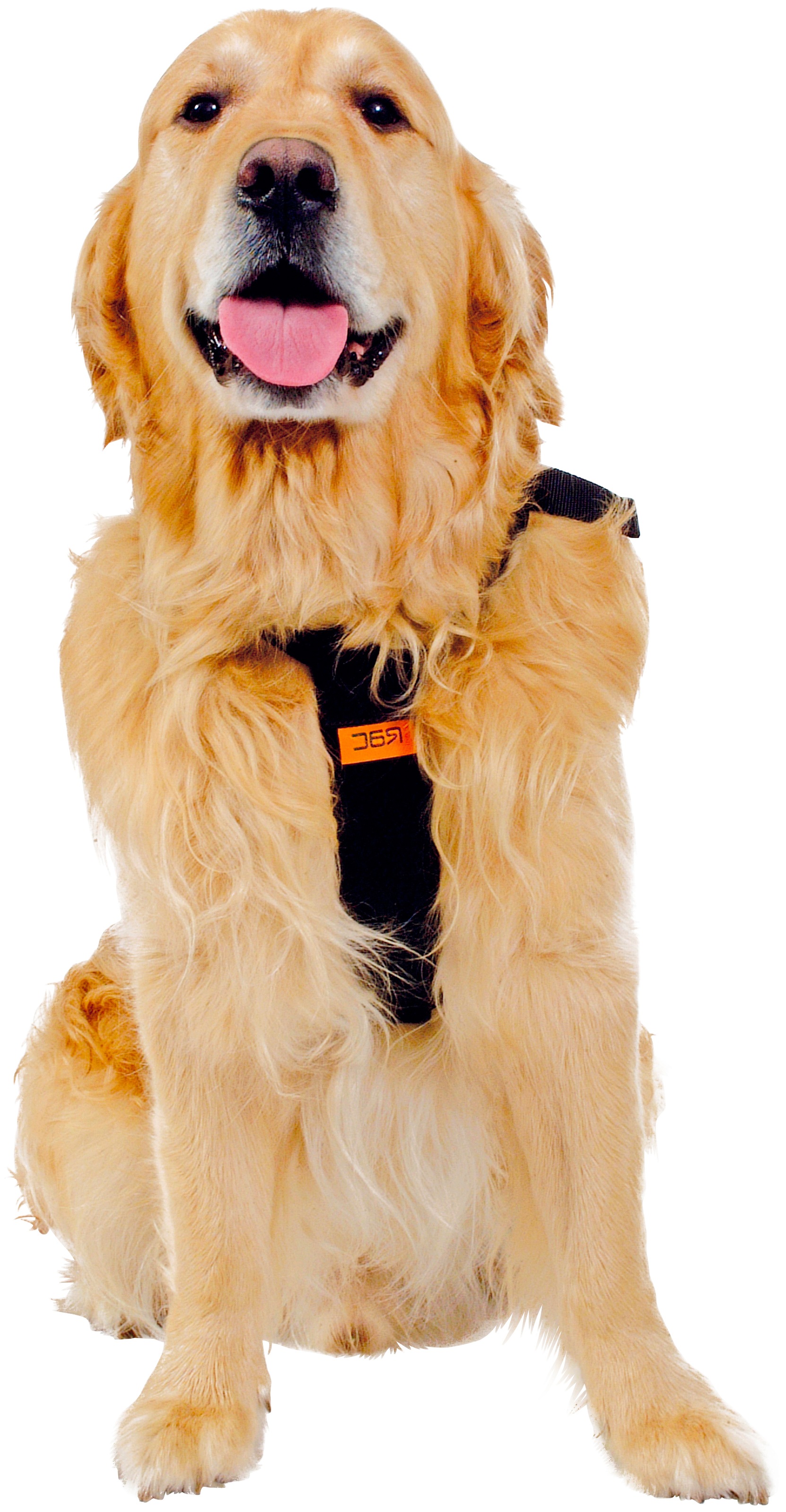 ᐅ Hund Sicherheitsgeschirr Test 2020 » Testsieger der Stiftung Warentest