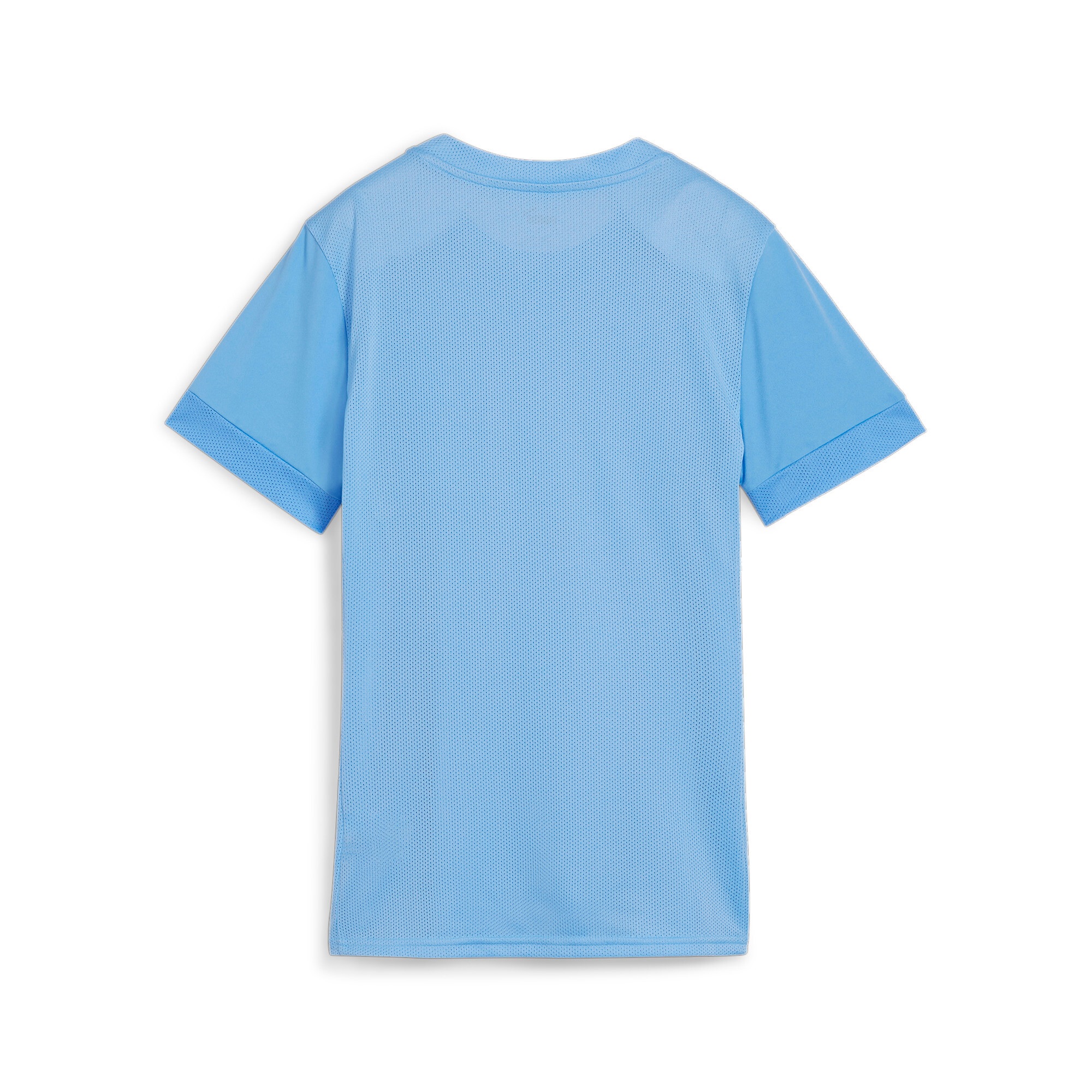 PUMA Trainingstop "TEAMGOAL MATCHDAY JERSEY WMNS" günstig online kaufen