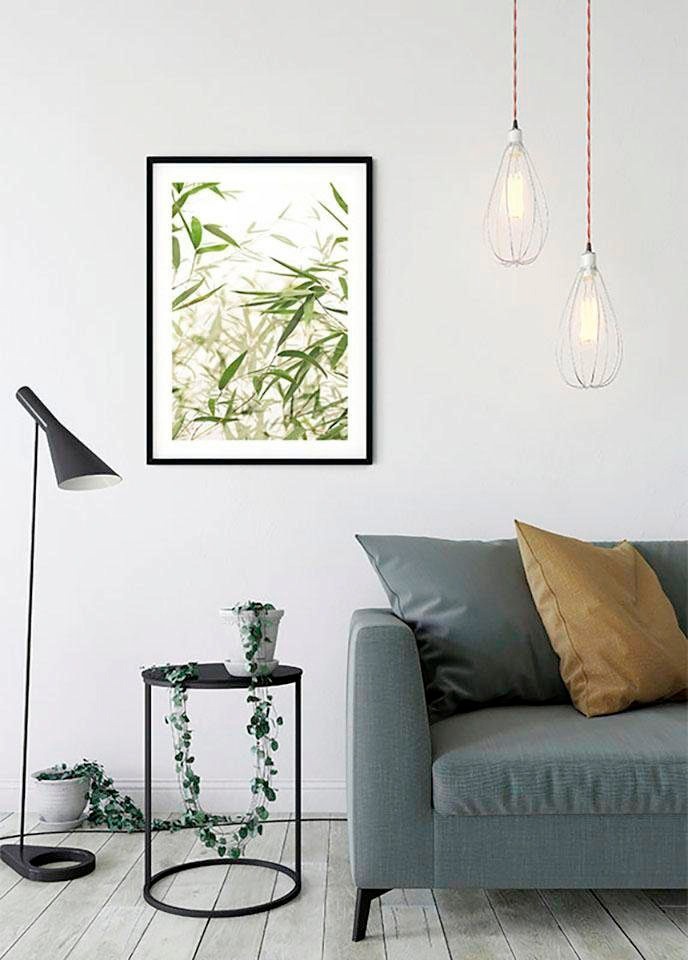 Komar Bild »Bamboo Leaves«, Pflanzen-Blätter, (1 St.), Wandbild zur Dekoration - ohne Rahmen