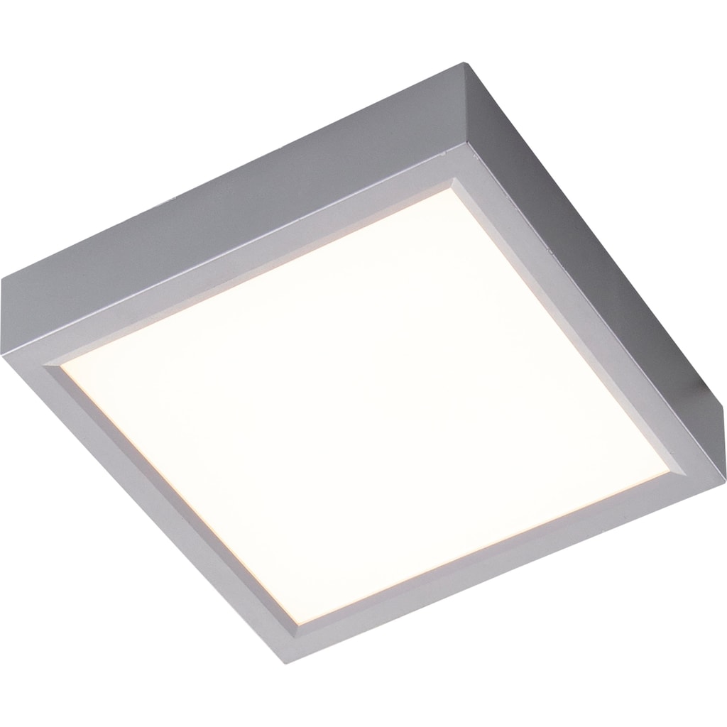 Nino Leuchten LED Deckenleuchte »Puccy«, LED Deckenlampe