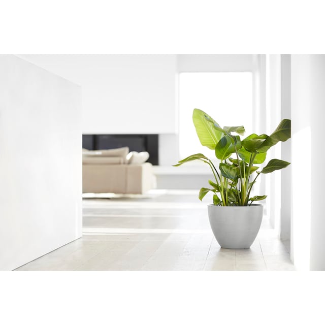 ECOPOTS Blumentopf »ANTWERP White Grey«, BxTxH: 40x40x30 cm kaufen | BAUR