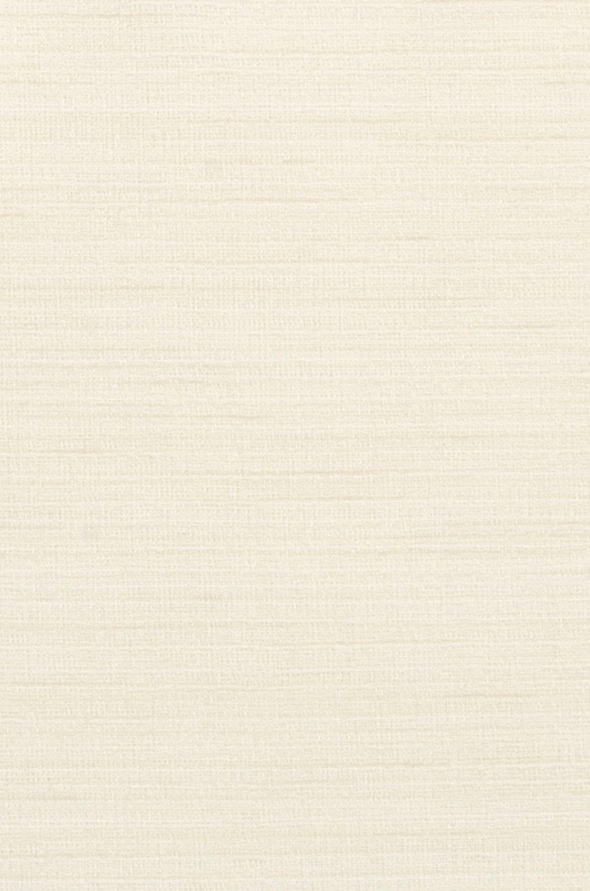 Neutex for you! Vorhang »Biella«, (1 St.), HxB: 245x142, Schal mit verdeckten Schlaufen