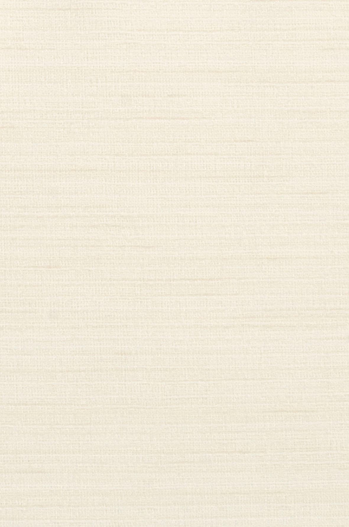 Neutex for you! mit Schlaufen Vorhang St.), HxB: »Biella«, | 245x142, (1 Schal BAUR verdeckten