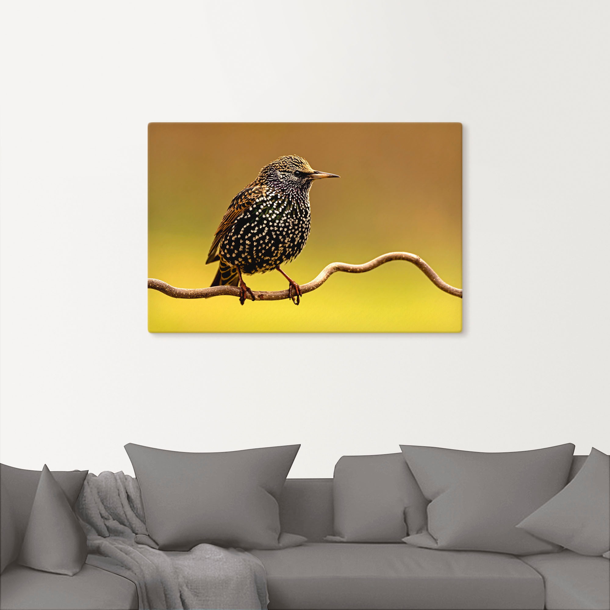 Artland Wandbild »Star«, Vogelbilder, (1 St.), als Leinwandbild, Poster in verschied. Größen