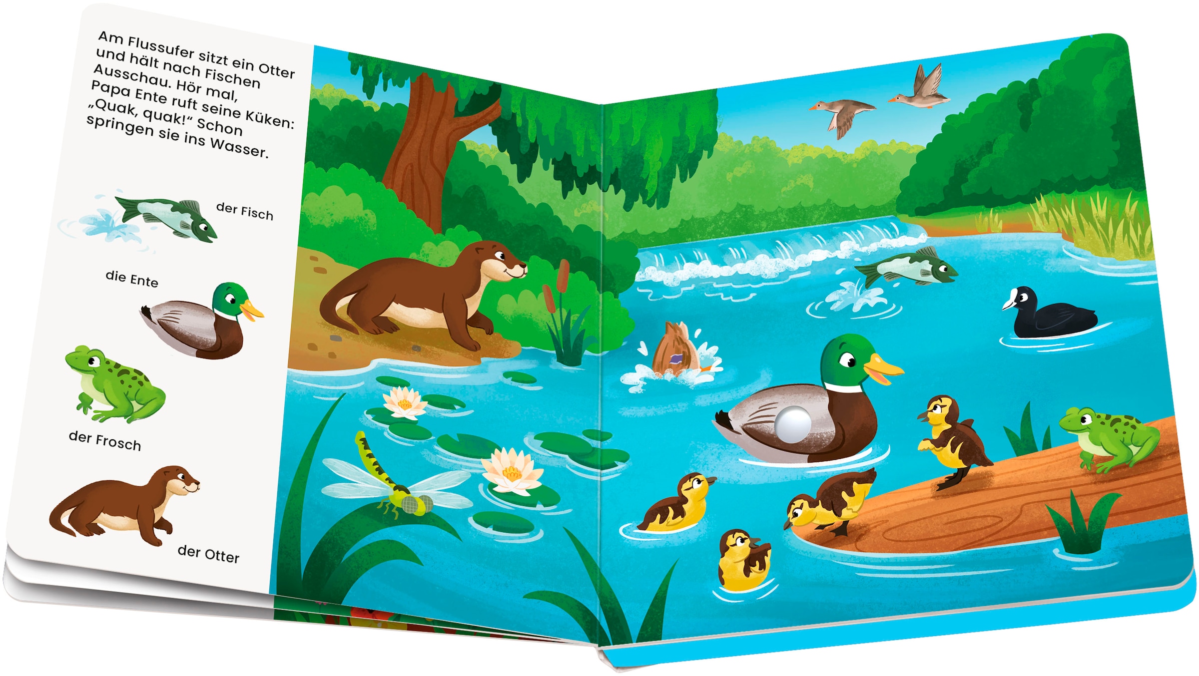 Ravensburger Kinderbuch »Play+ Mein allererstes Soundbuch Lieblingstiere«