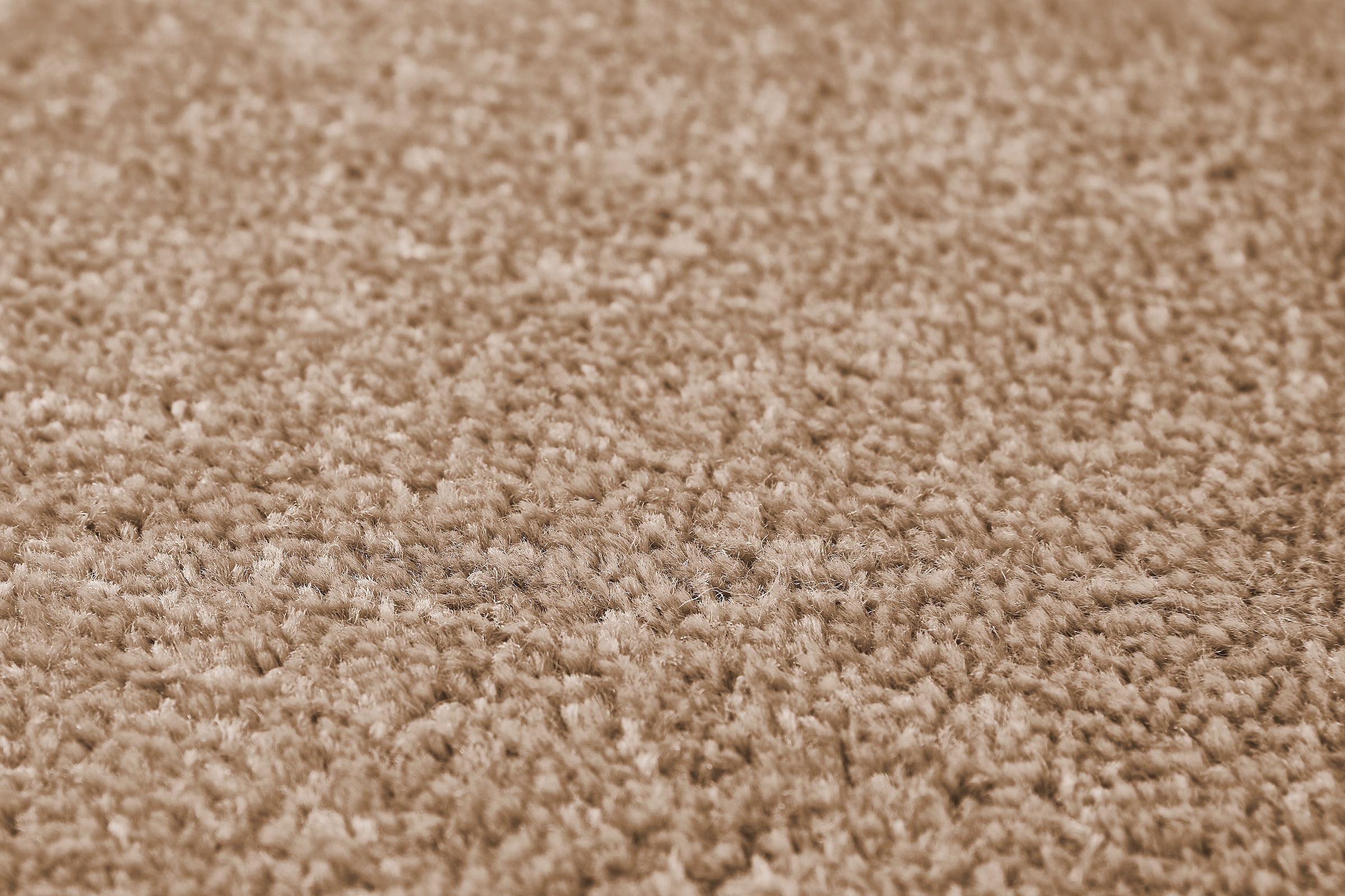 my home Teppichboden »Isabella, Velours, Made in Netherlands«, rechteckig, 0,85 mm Höhe, Breite 400 cm, Uni Farben, weich, pflegeleicht, strapazierfähig