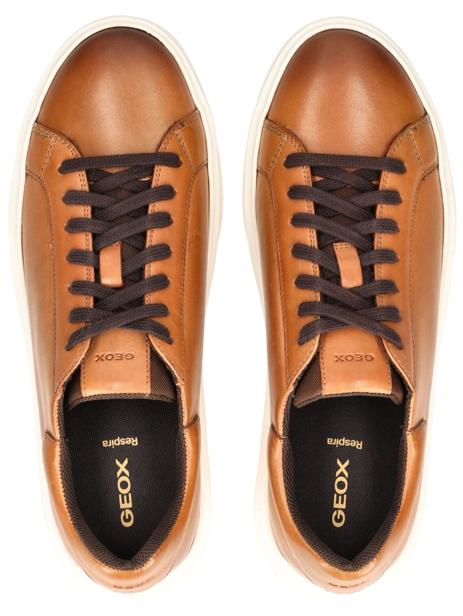 Geox Sneaker »Geox Sneaker Leder/Textil«