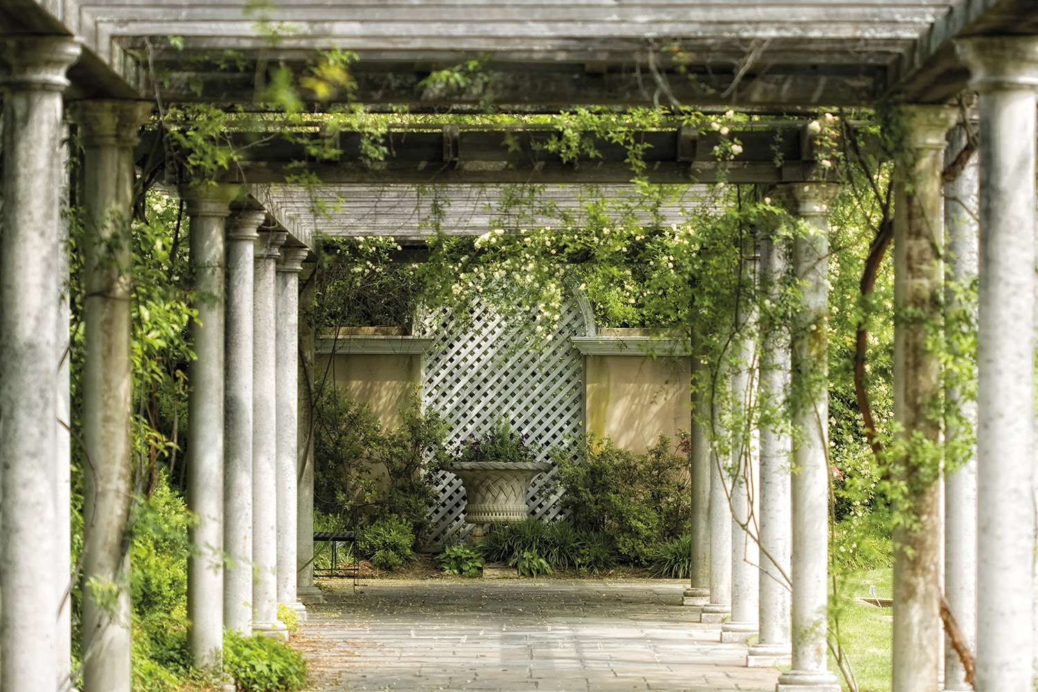 Papermoon Fototapete "Walkway in Garden" glatt