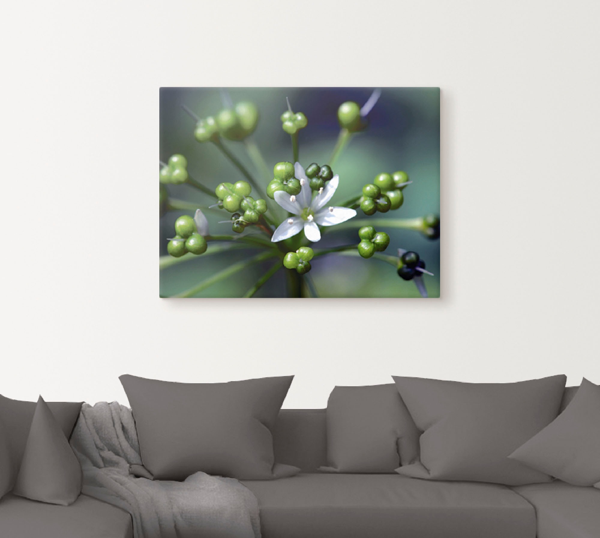 Artland Wandbild »Bärlauchblüte«, Blumen, (1 St.), als Leinwandbild, Poster in verschied. Größen