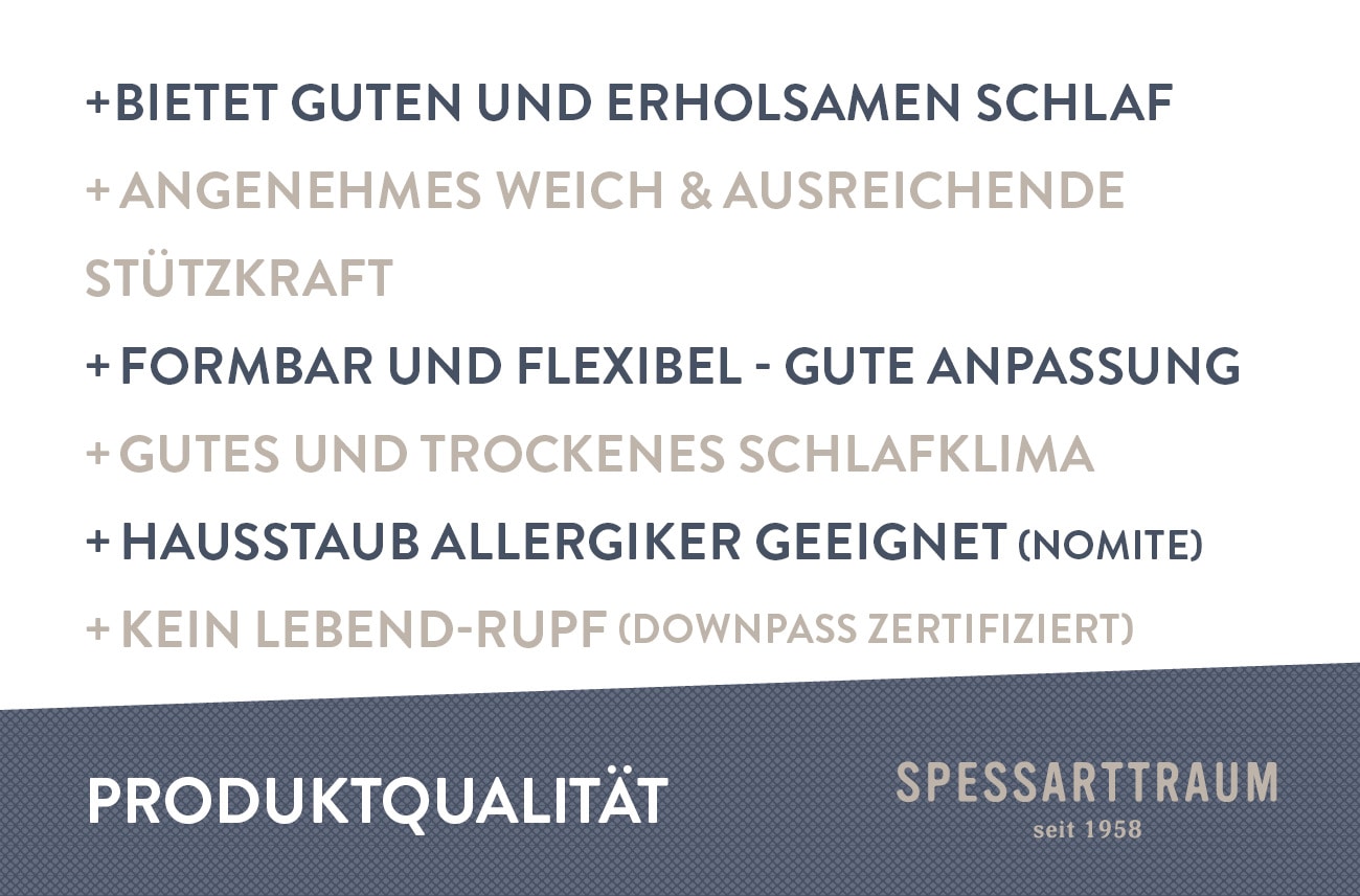 SPESSARTTRAUM Daunenkissen »Kissen-Set FIRST CLASS«, Füllung: 90% Daunen, 10%Federn, Bezug: 100% Baumwolle, (Spar-Set, 2 St.), Kopfkissen in verschiedenen Größen erhältlich, im Set günstiger