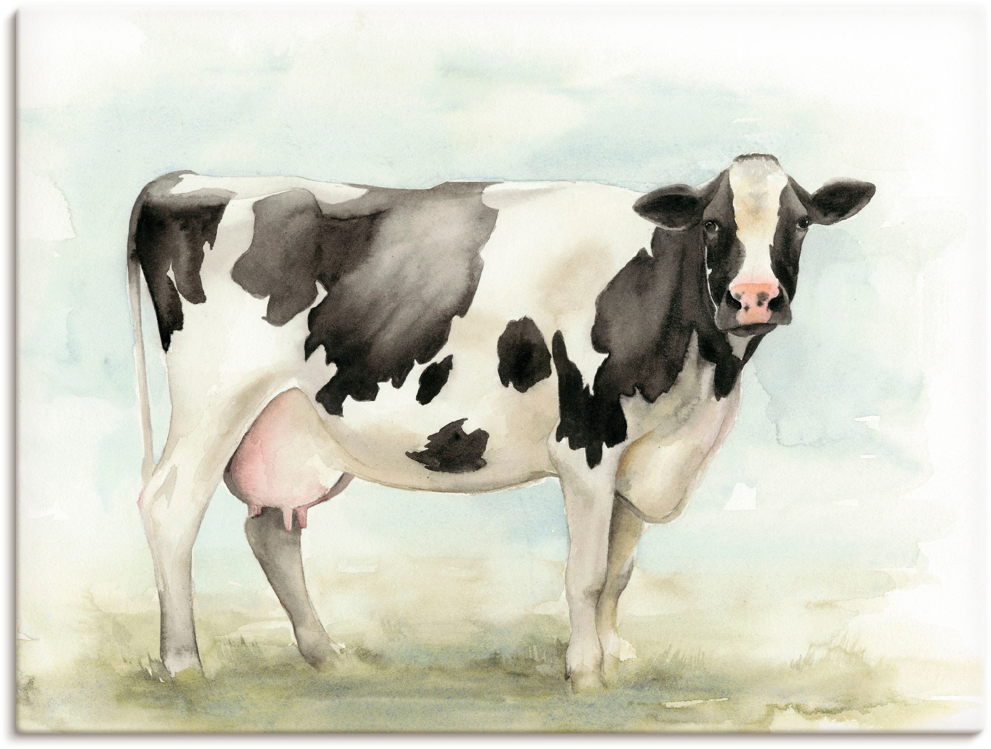 Artland Wandbild »Wasserfarben Kuh Poster Alubild, I«, als oder versch. BAUR Wandaufkleber | Haustiere, kaufen Leinwandbild, (1 St.), in Größen