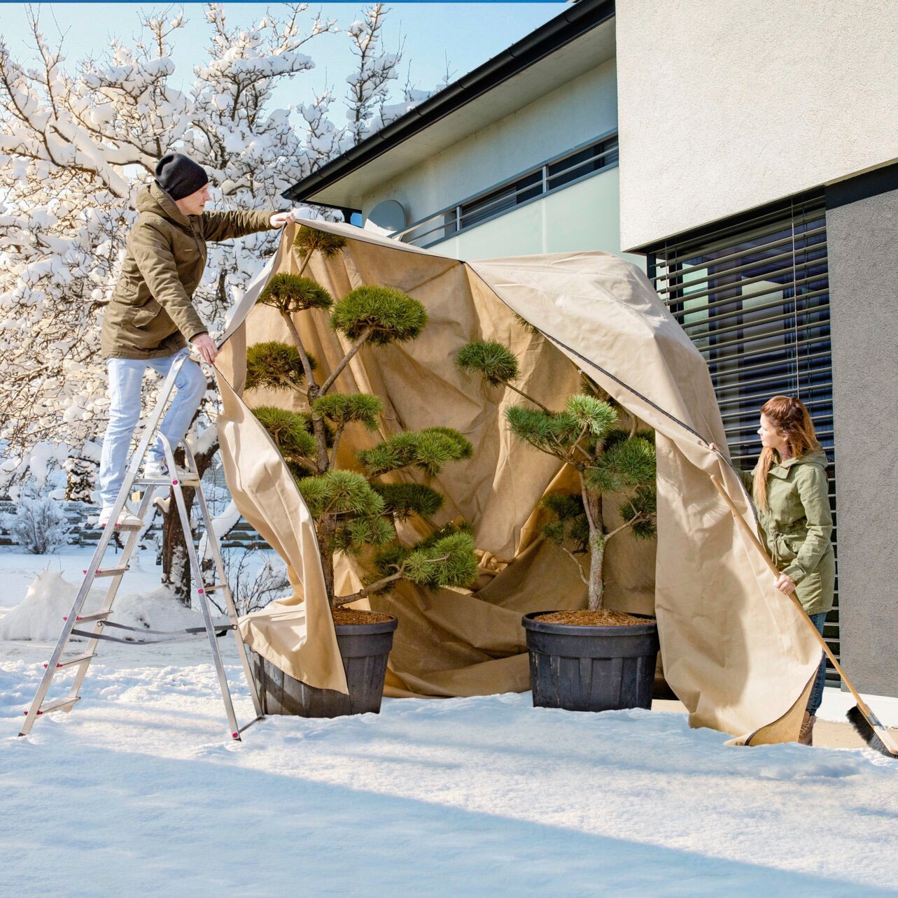 Windhager Winterschutzvlies, Vlieshaube, BxL: 390x350 cm günstig online kaufen