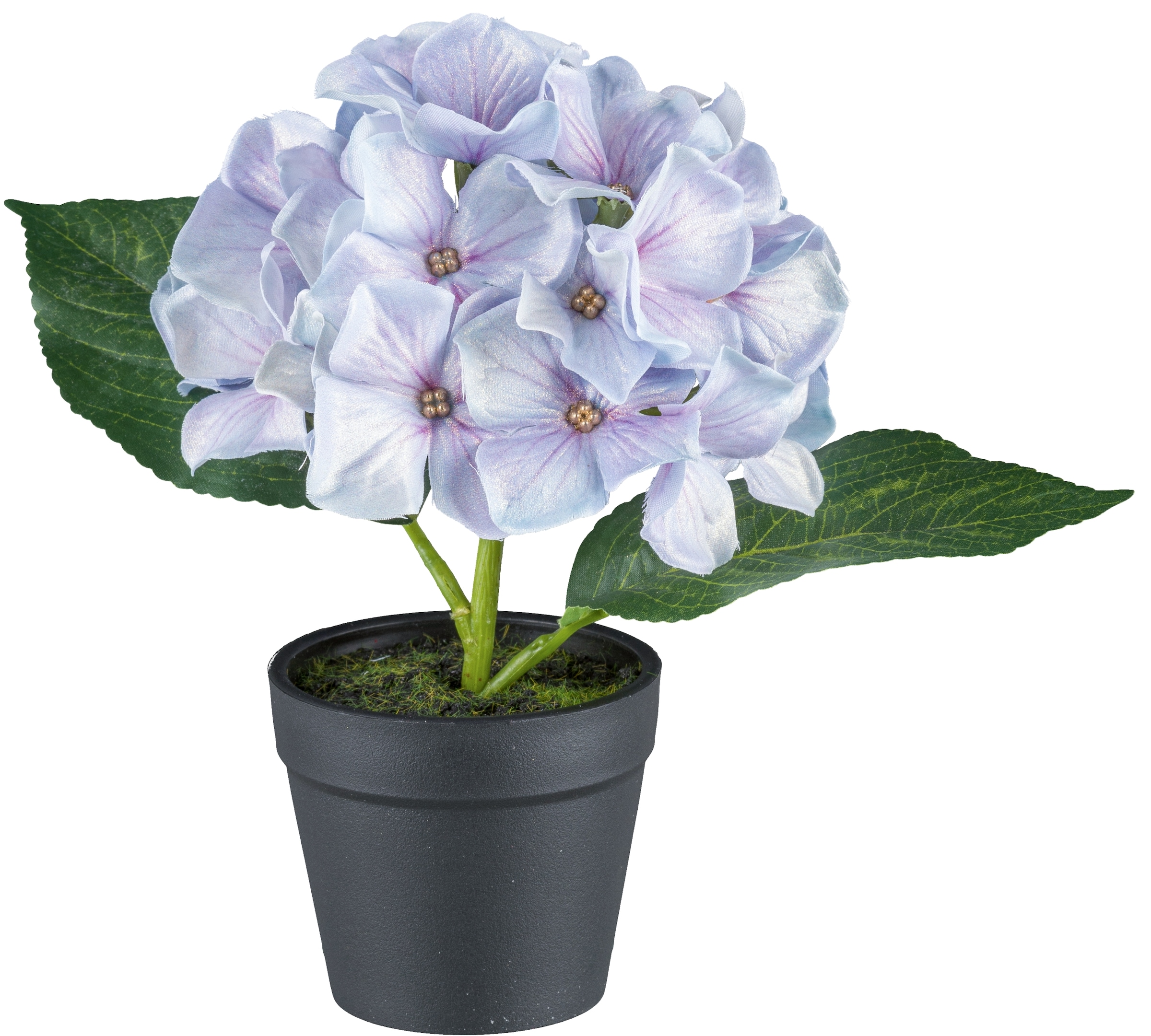 Creativ green Kunstblume »Mini-Hortensie in Pastellfarben«, mit Glitzerschimmer