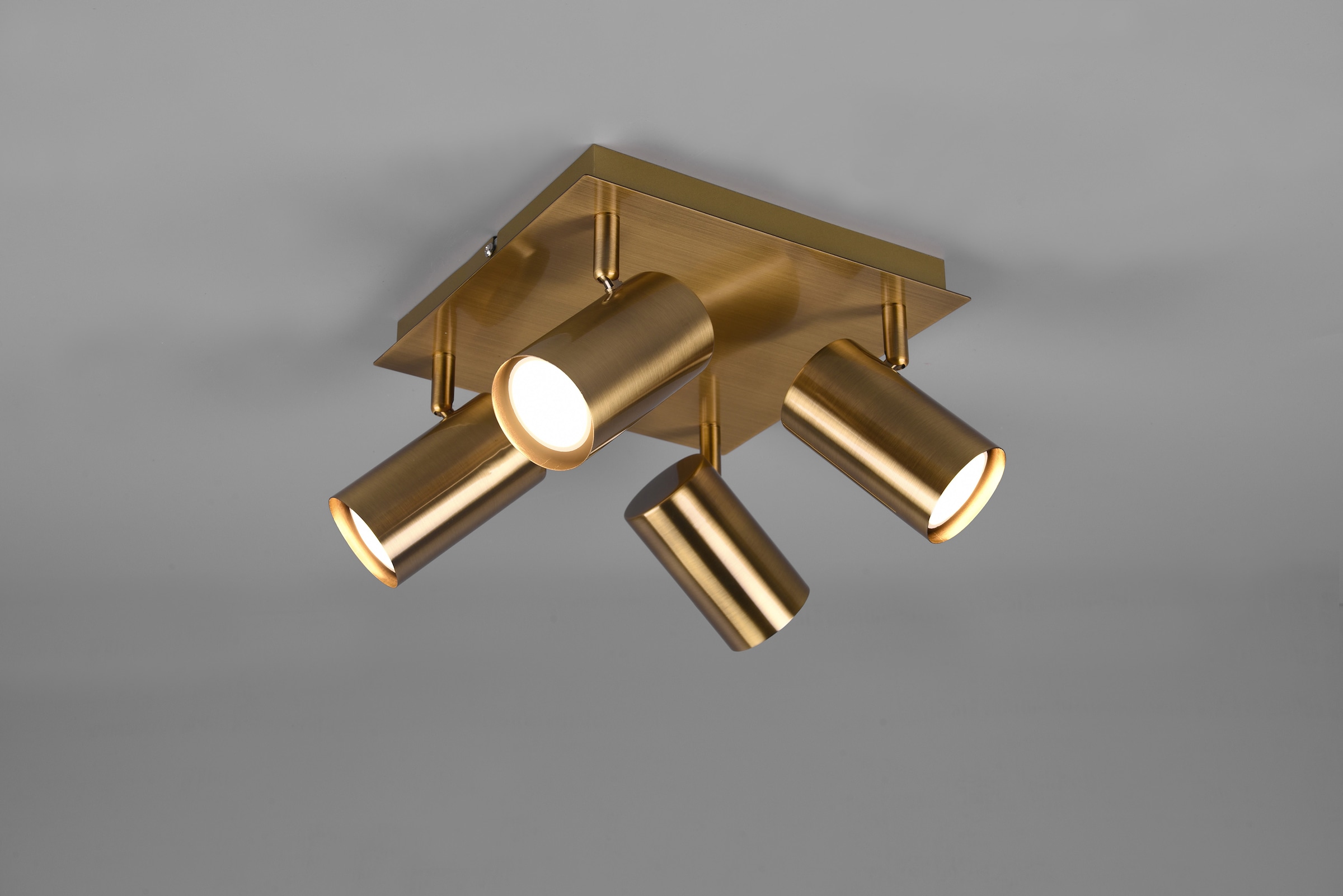 TRIO Leuchten Deckenstrahler »Marley« GU10 1 Stk. Leuchtmittel frei wählbar; Altmessingoptik, Spots dreh- und schwenkbar