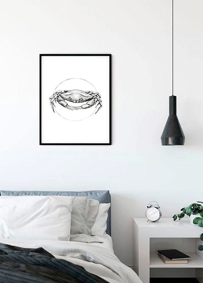 Komar Poster »Crab White«, Tiere, (1 St.), Kinderzimmer, Schlafzimmer, Wohnzimmer