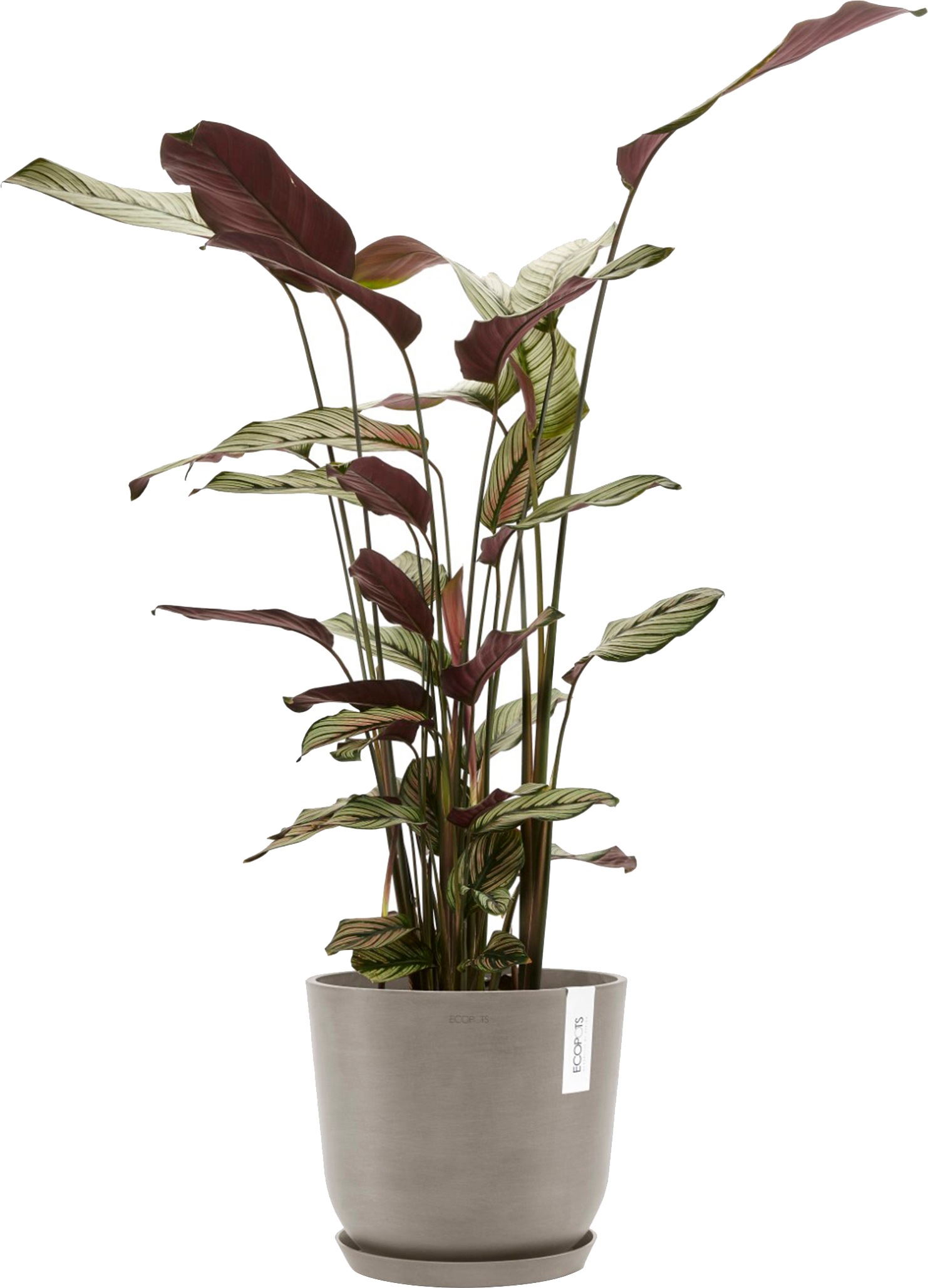 ECOPOTS Blumentopf »Oslo 25 Taupe«, für innen und außen: frostsicher, bruchsicher und lichtbeständig