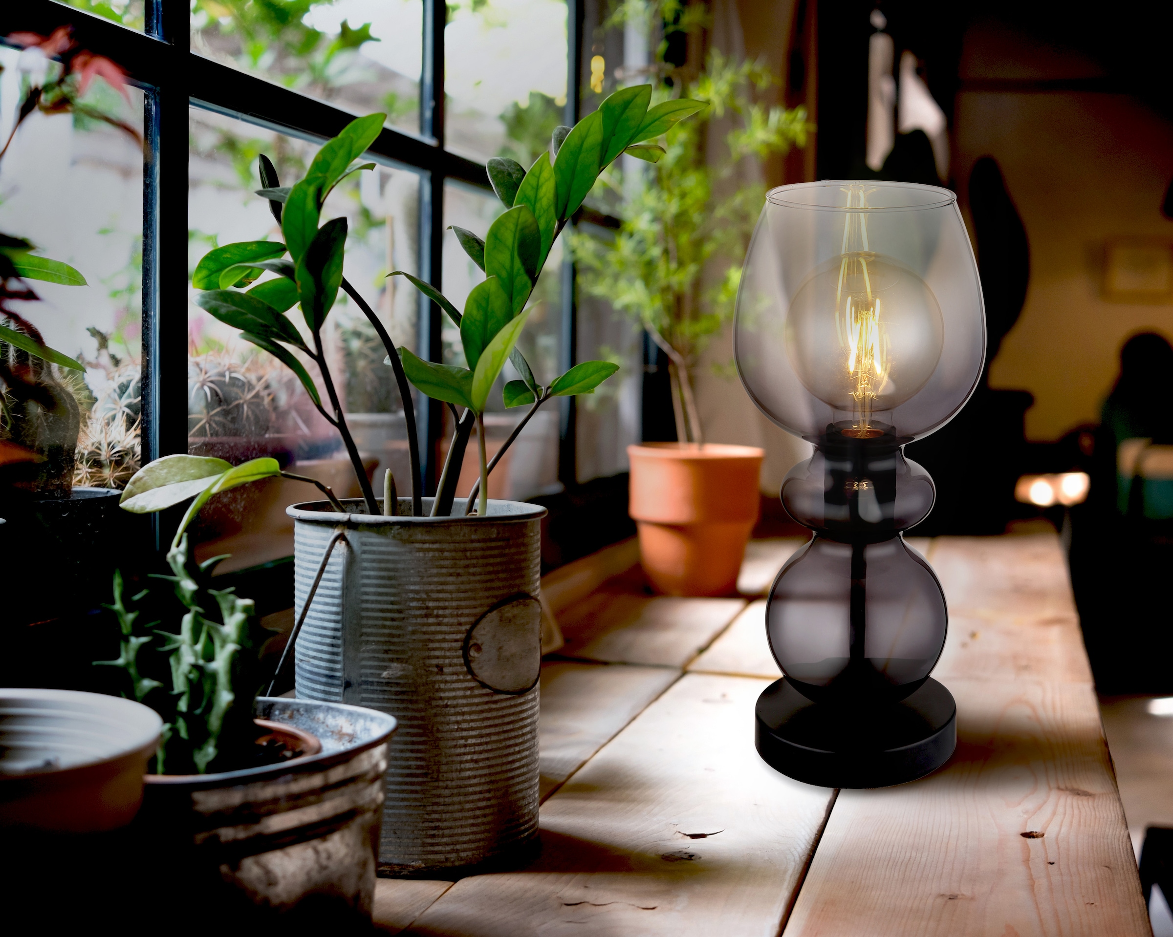 GLOBO LIGHTING Tischleuchte »CLARITY« E27 1 Stk. Tischlampe Glas rauchfarben klar verlaufend antik