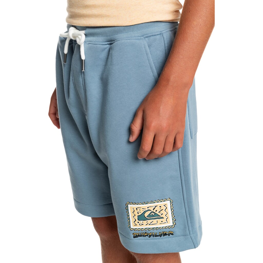 Quiksilver Trainingsshorts »Stir Roots Up 17"«