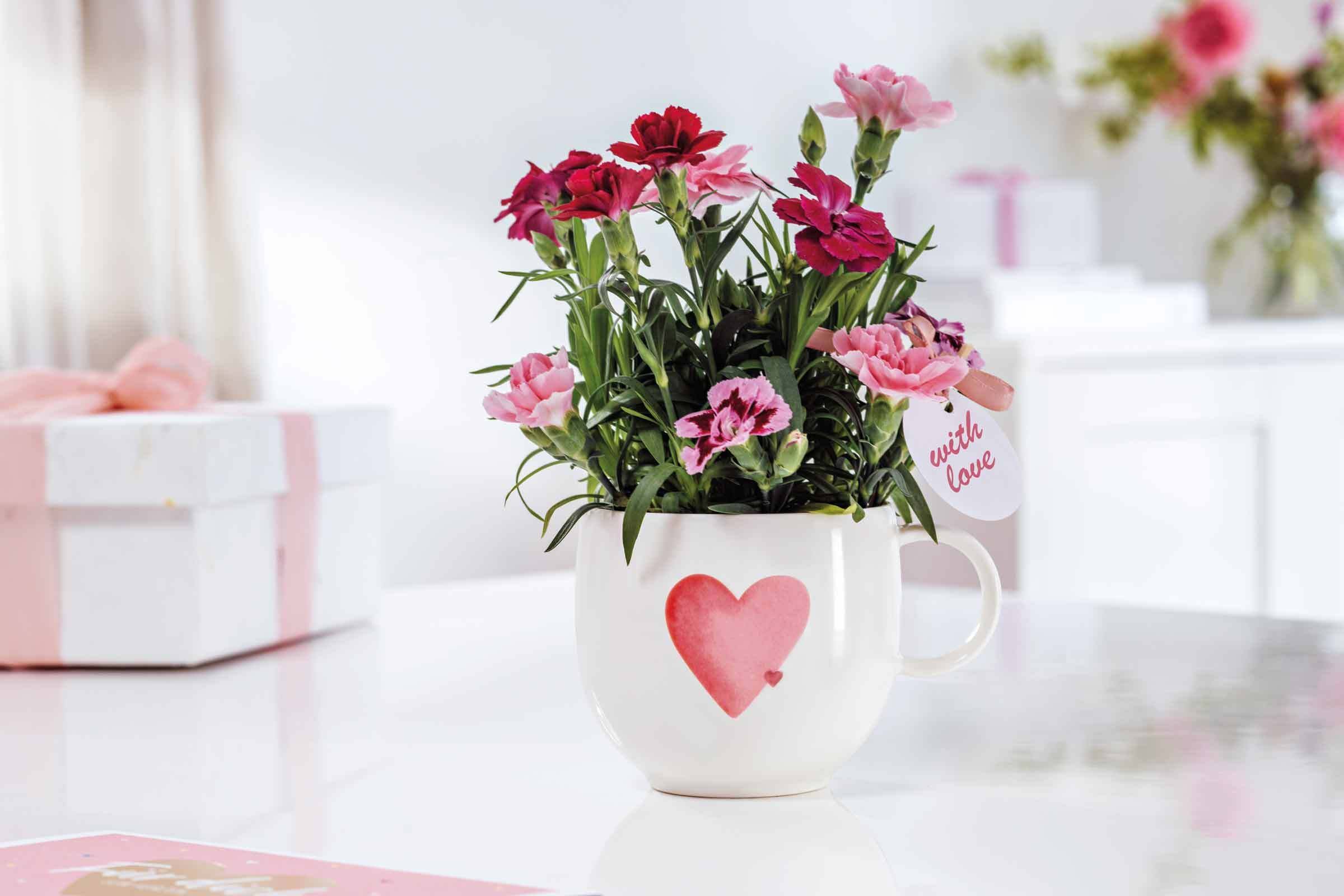 Villeroy & Boch Becher »Henkelbecher Sending Love With Love 290 ml weiß-rot«