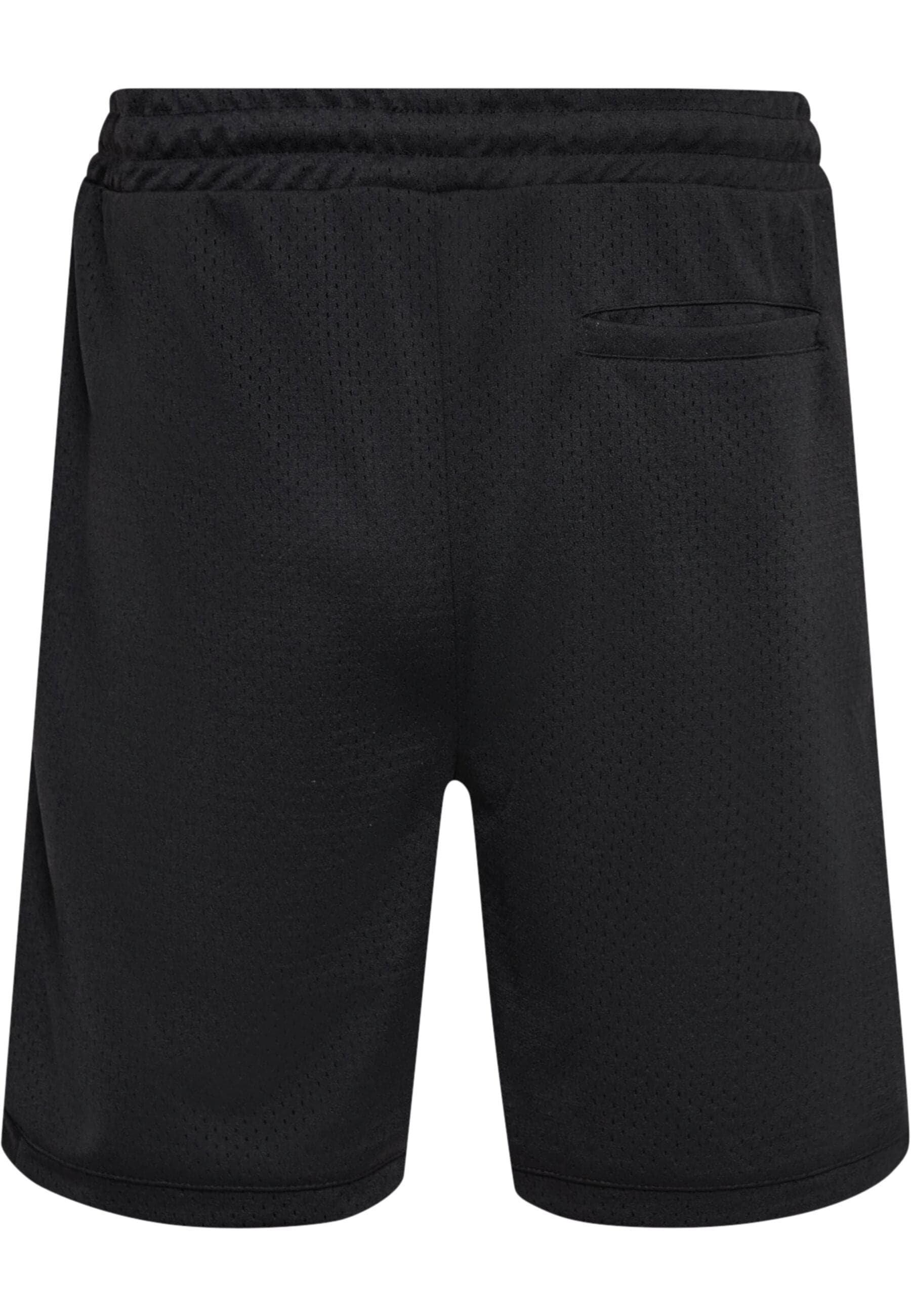 Dropsize Shorts »Dropsize Herren Dropsize V2 Mesh Shorts«, (1 tlg.)