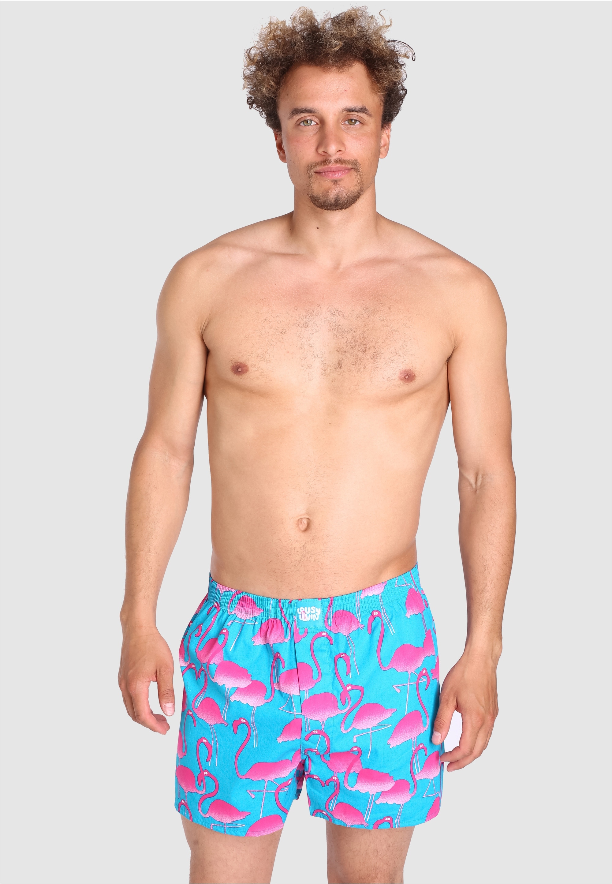 Lousy Livin Boxershorts »Flamingo«, mit trendigem Flamingo-Print