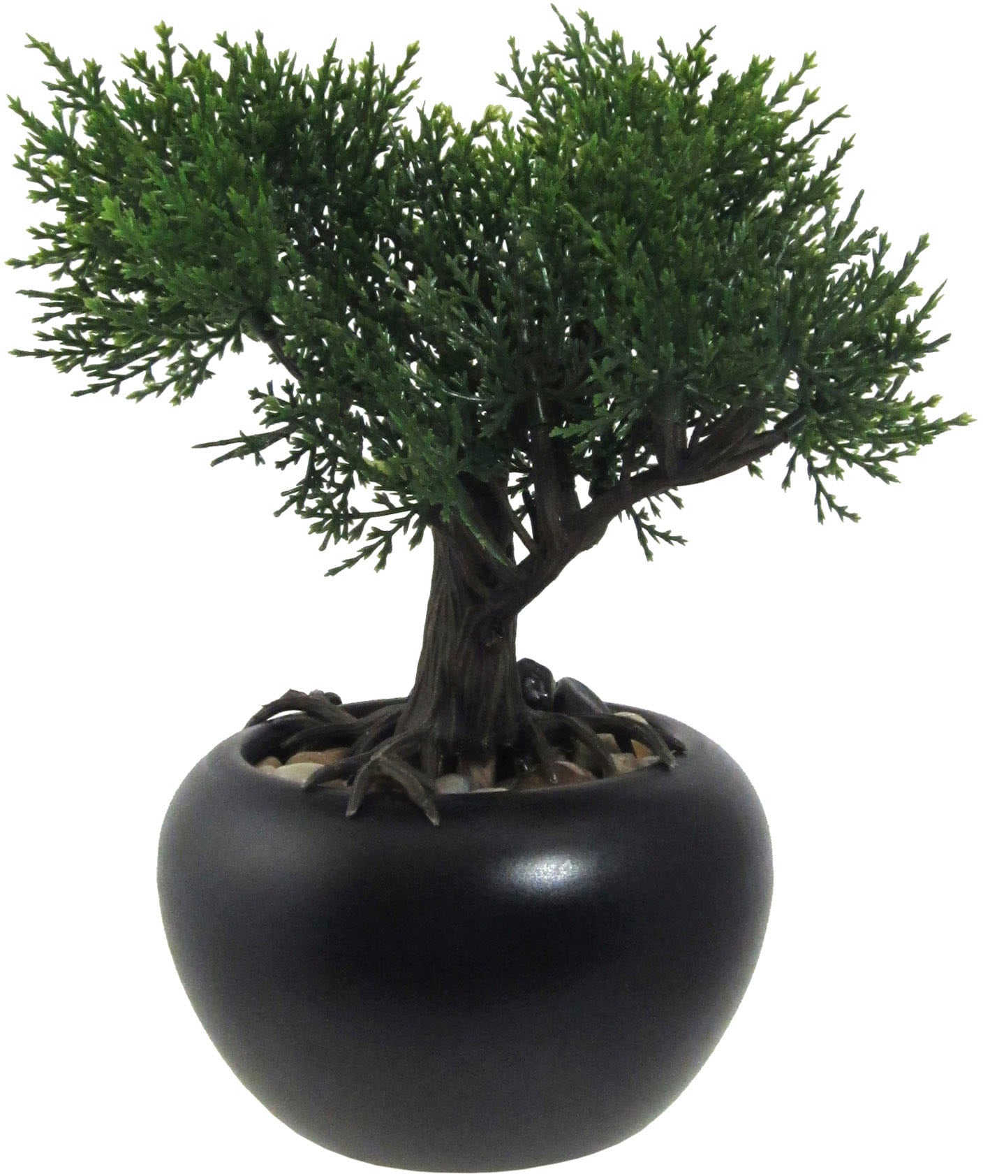 Creativ green Kunstbonsai »Bonsai Zeder im Keramiktopf«