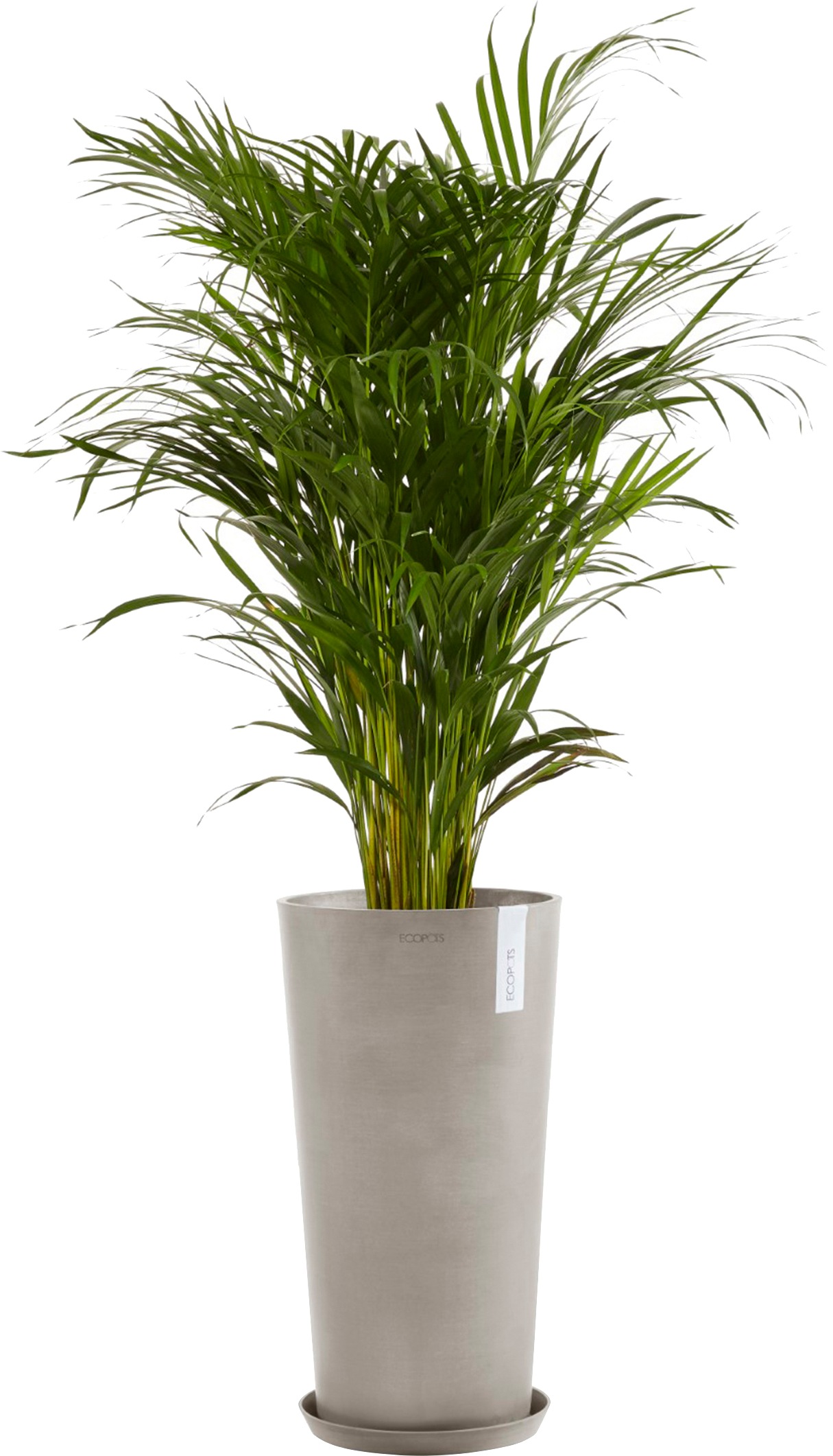 ECOPOTS Blumentopf »Amsterdam extrahoch 90 Taupe«, für innen und außen: frostsicher, bruchsicher und lichtbeständig