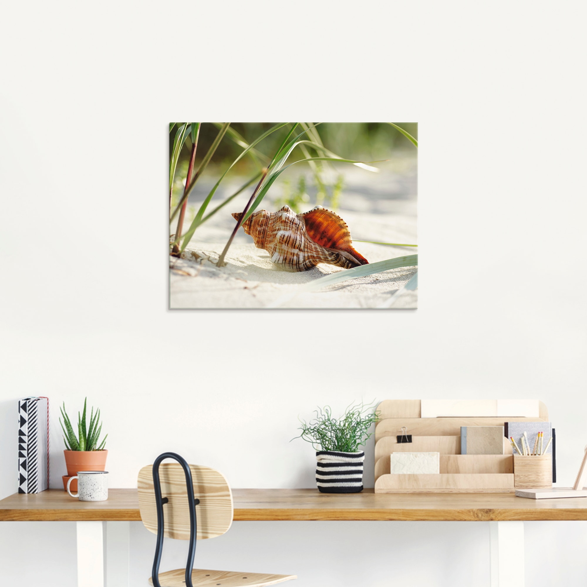 Artland Glasbild »Große Muschel am Strand«, Wassertiere, (1 St.), in verschiedenen Größen