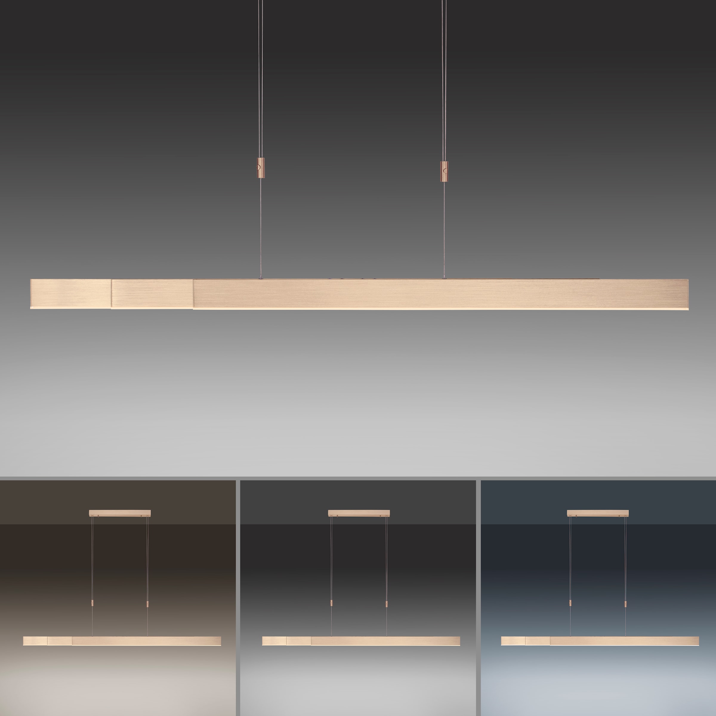 Neuhaus PURE LED Pendelleuchte »PURE Moto« LED-Board 1 Stk. warmweiß - kaltweiß e-SLIDE® Funktion, CCT, dimmbar, Fernbedienung