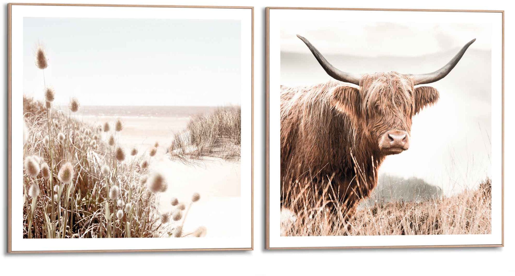 (1 BAUR Bild«, St.) Bulle Wandbild »Wandbild kaufen Tiermotiv Hochlandrind - Nahaufnahme Highlander Reinders! Kuh, | -