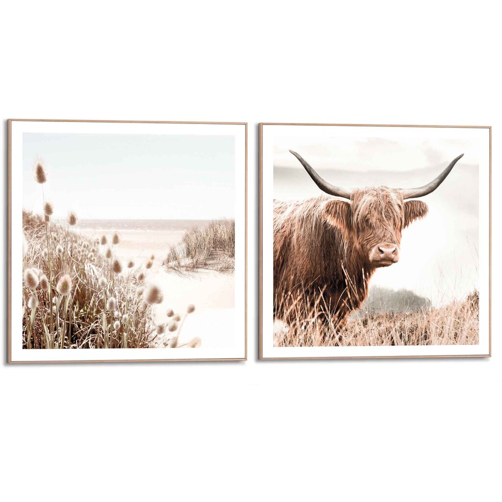 Reinders! Wandbild »Freie Natur Highlander - Kuh - Heide - Strand - Ruhe«, (2 St.)