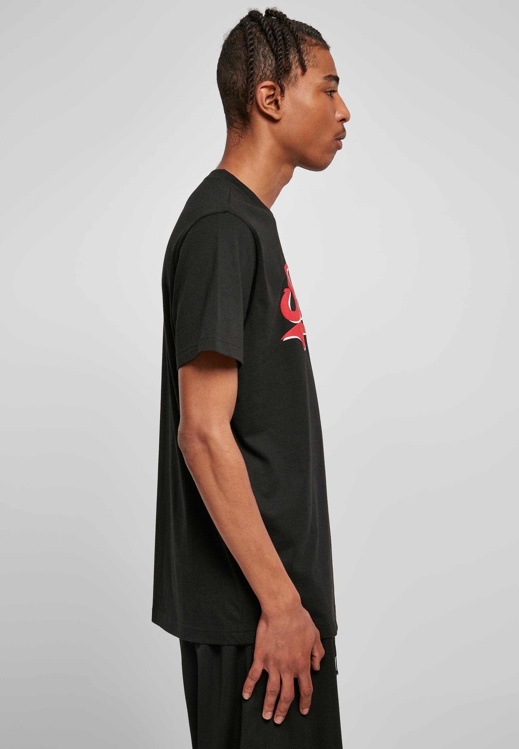 Starter Black Label T-Shirt »Starter Black Label Herren Starter Swing Tee«, (1 tlg.)