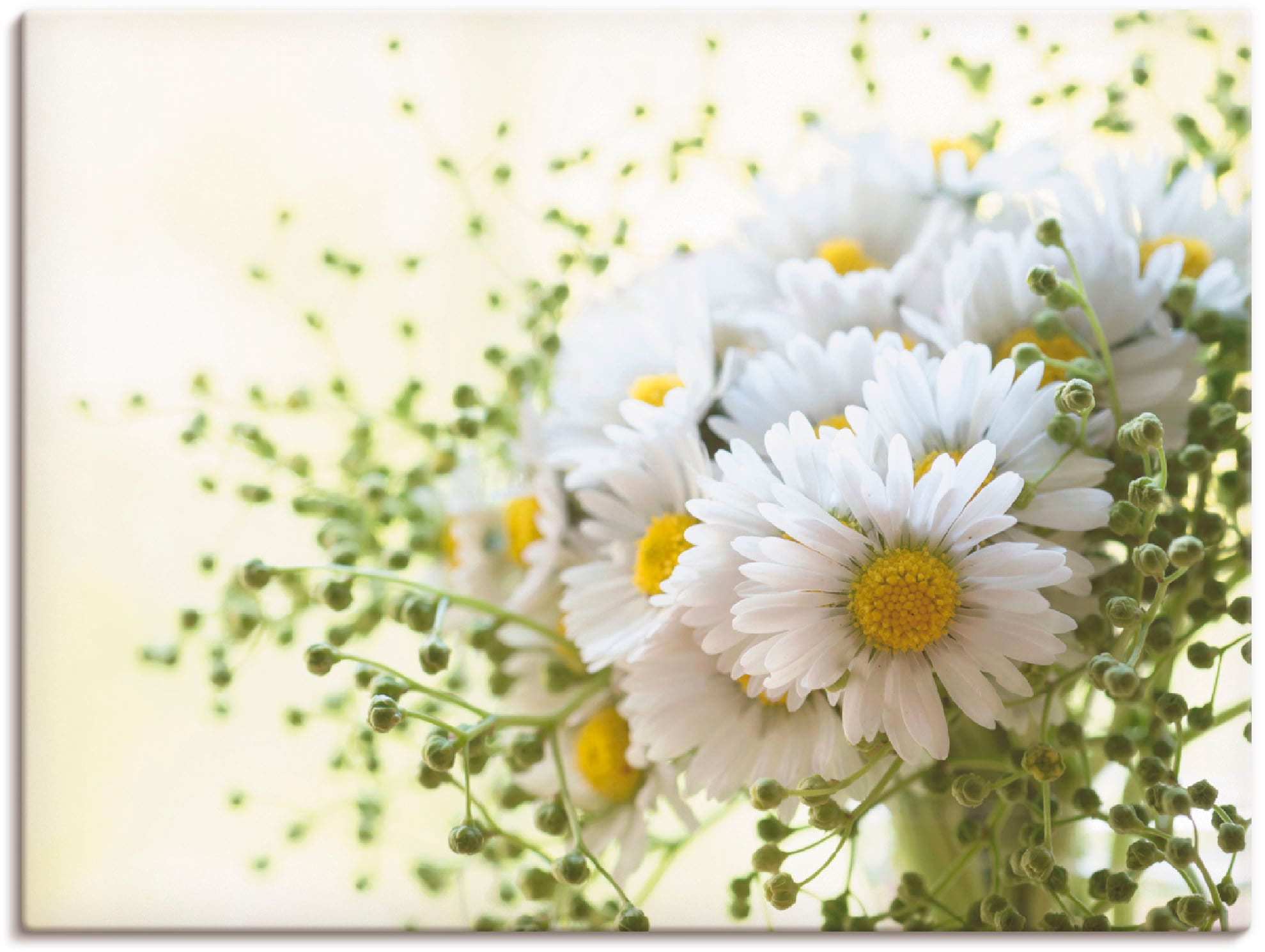 Artland Wandbild "Gänseblümchen und Hofstaat" Blumen 1 Stk. tlg. als Leinwa günstig online kaufen