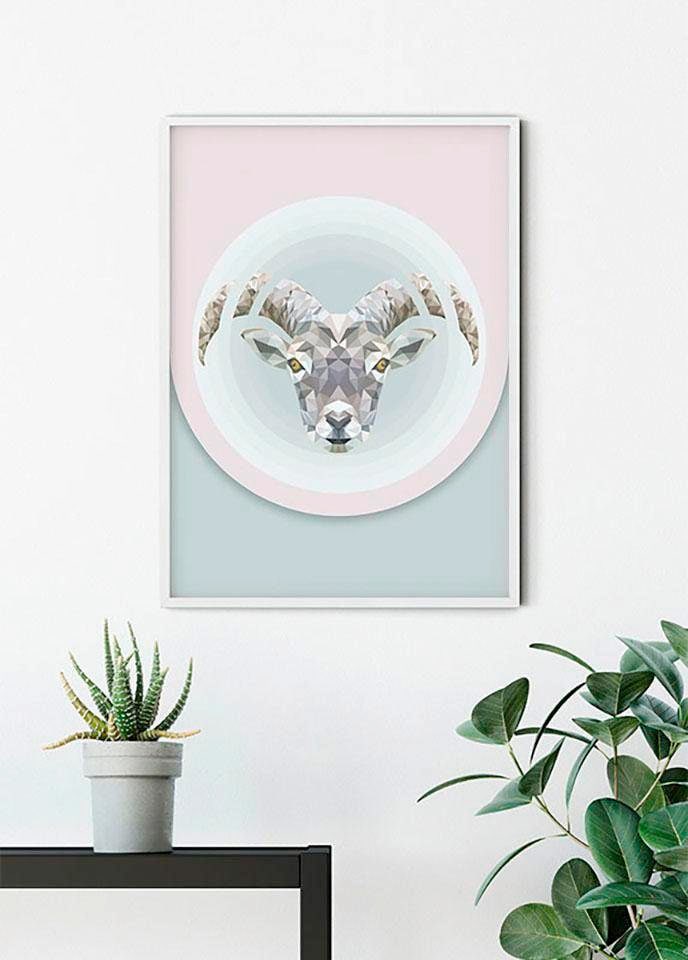 Komar Bild »Capricorn«, Tiere, (1 St.), Wandbild zur Dekoration - ohne Rahmen