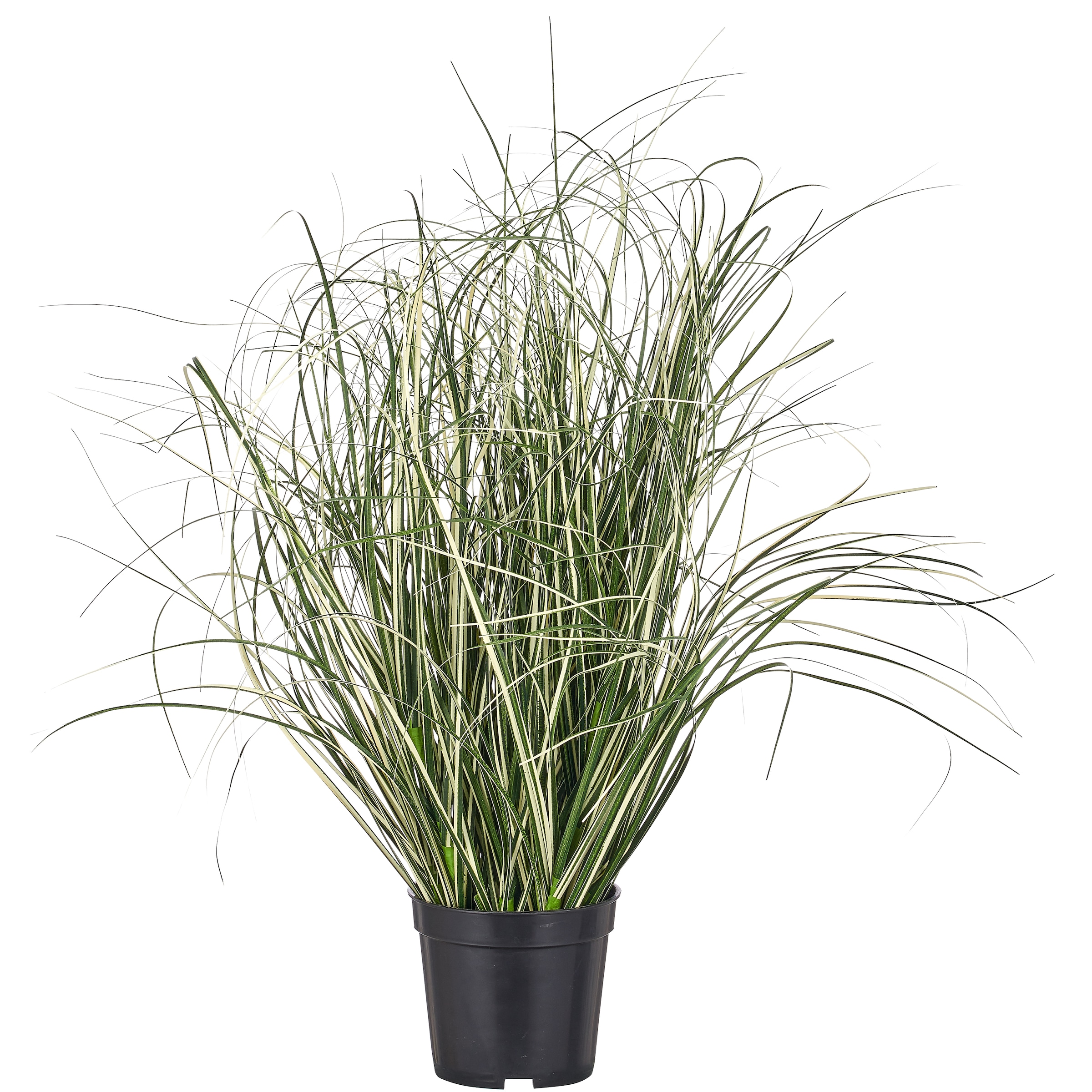 Creativ green Kunstgras "Grasbusch Miscanthus variegatus" mit filigranen Grashalmen