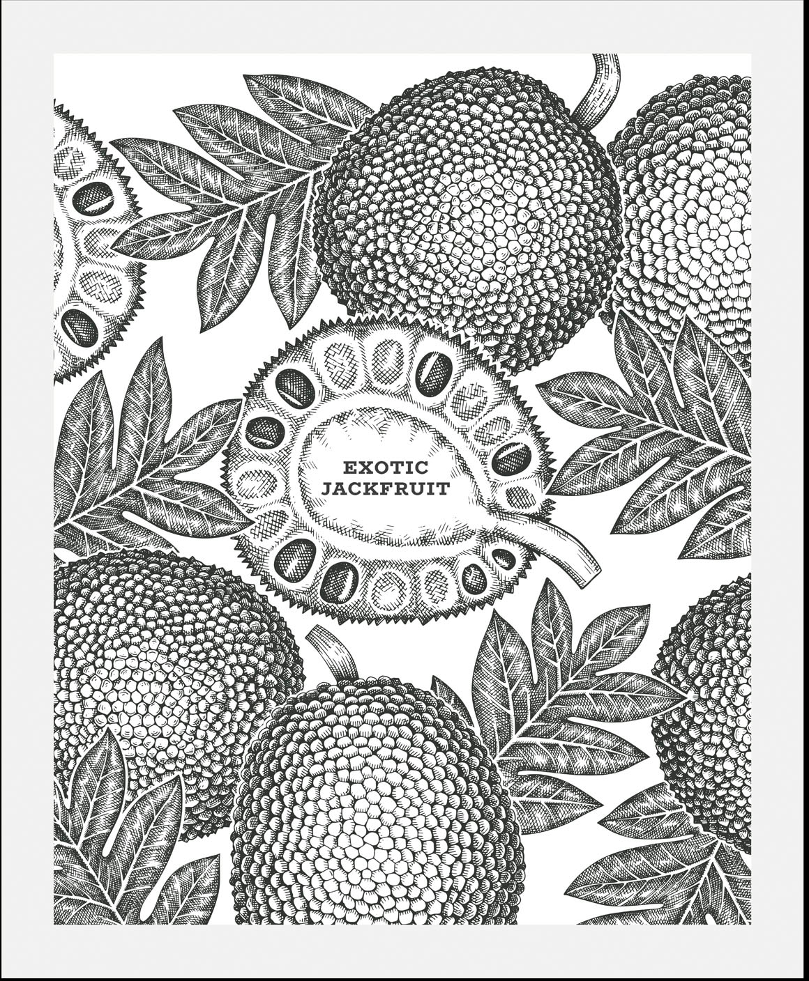 queence Bild »Exotic Jackfruit«, Obst-Obst Bilder-Essen-Lebensmittel-Kunst-Schriftzug-Schwarz-Weiß, (1 St.), gerahmt