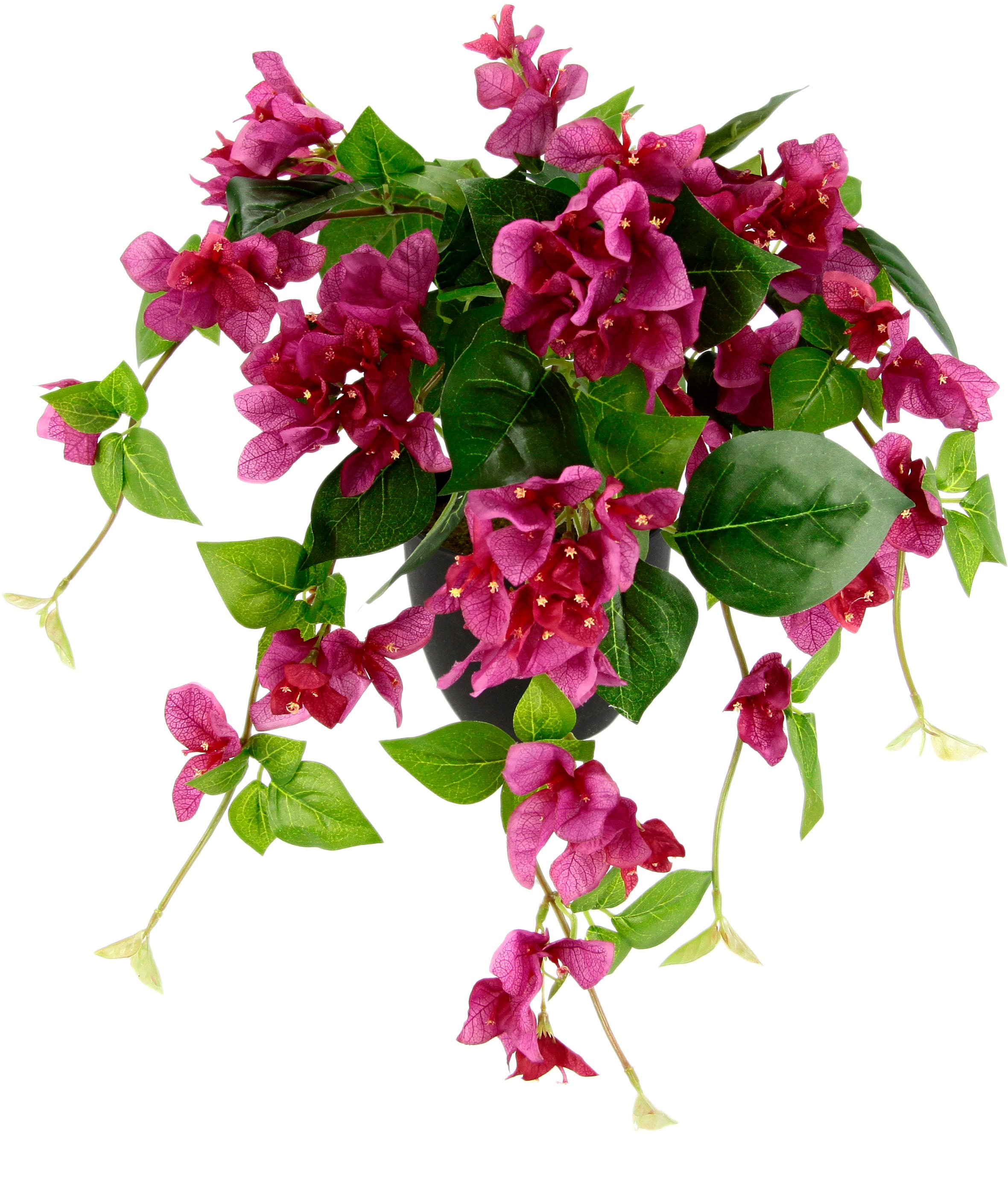 I.GE.A. Kunstpflanze »Bougainvillea«, im Kunststofftopf bestellen | BAUR