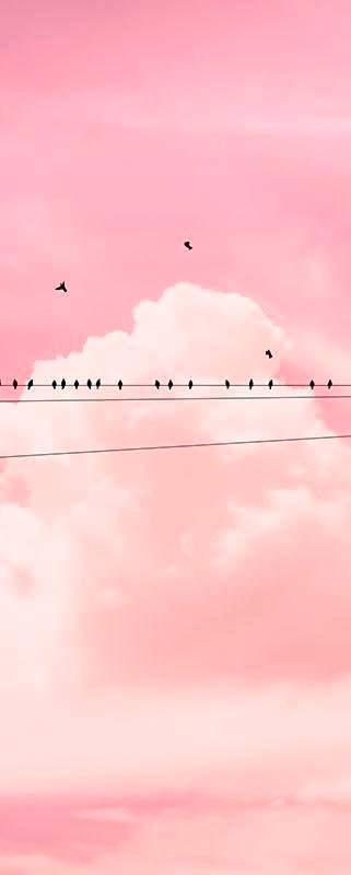 Komar Vliestapete »Cloud Wire Panel« 100x250...
