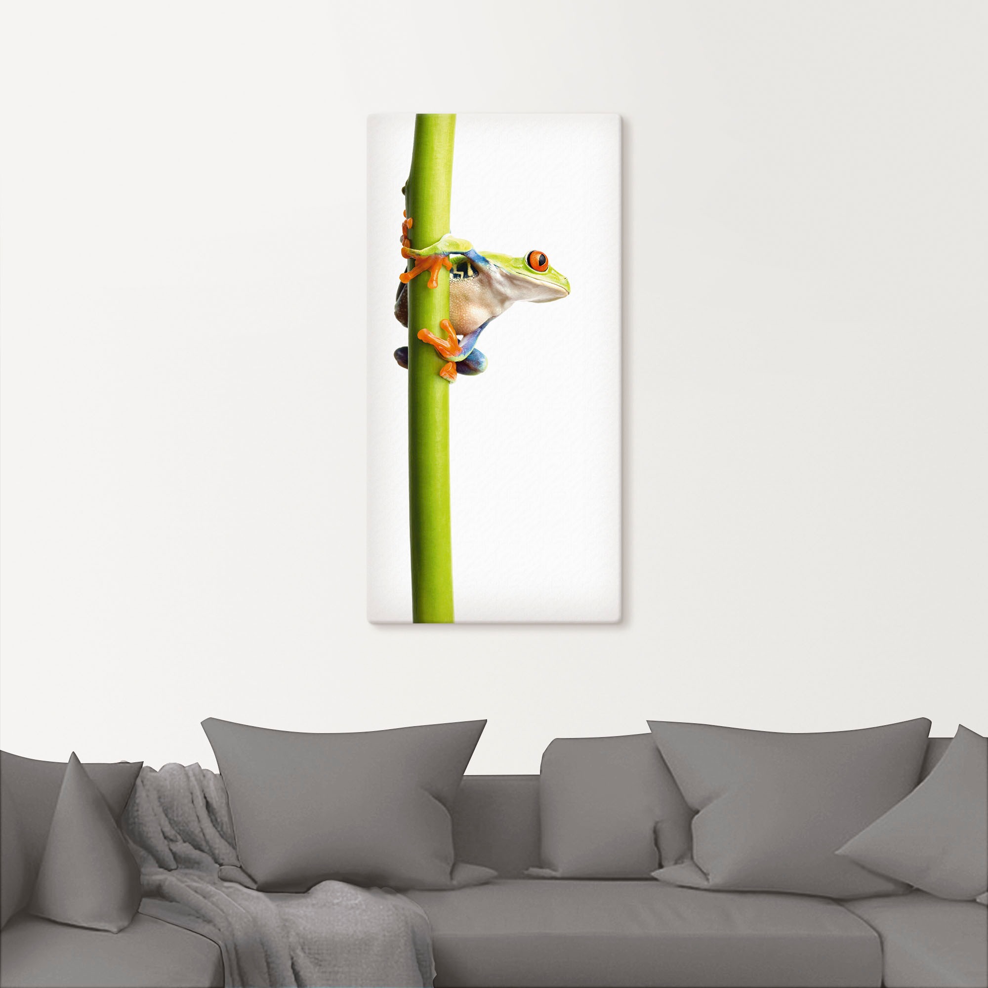 Artland Wandbild »Frosch umfasst einen Pflanzenstengel«, Wassertiere, (1 St.), als Alubild, Outdoorbild, Leinwandbild in verschied. Größen