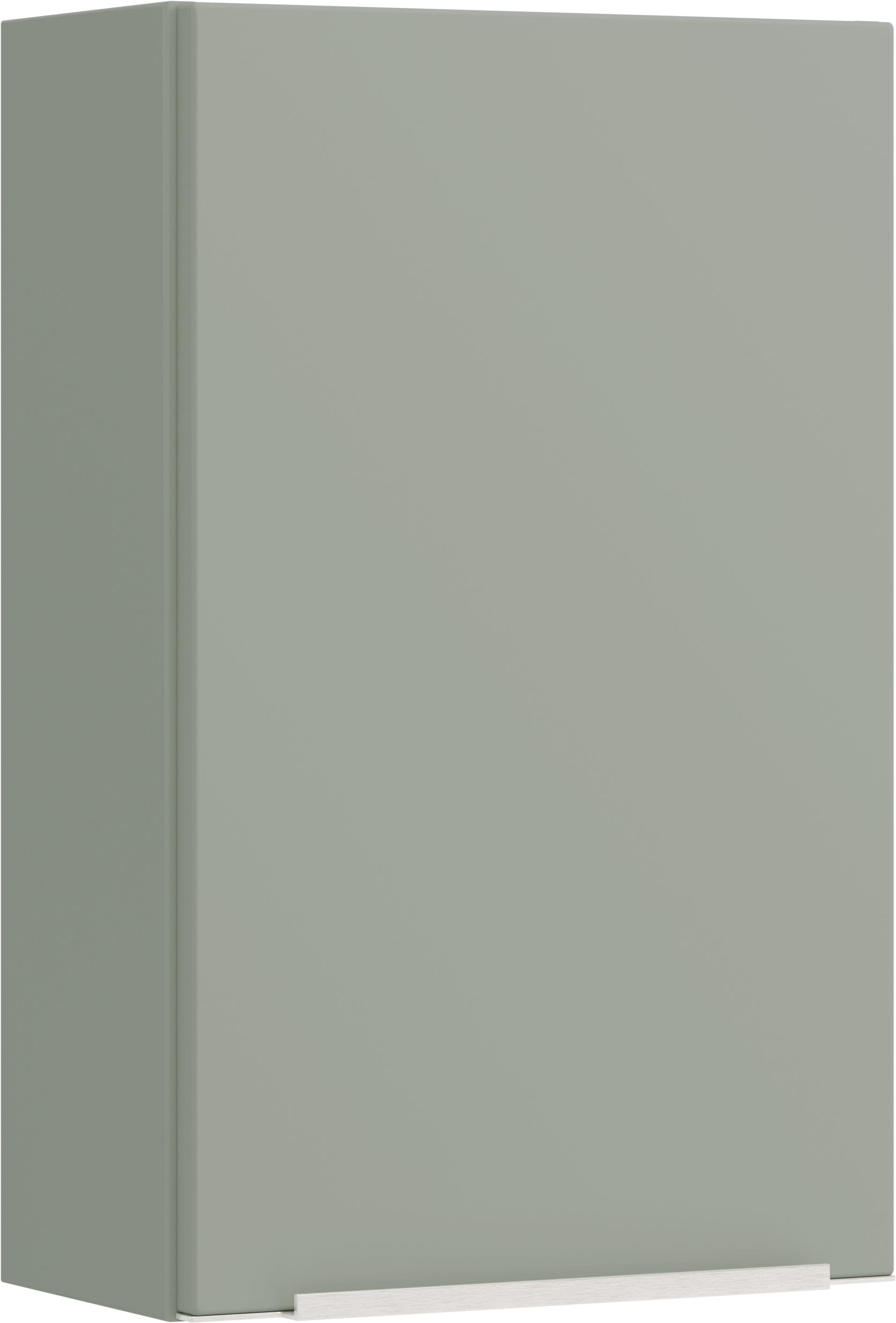 welltime Hängeschrank "TRIENT, Hängeschrank 40 cm, gedämpfte Scharniere" Schilfgrün, gedämpfte Tür, verstellbare Einlegeböden