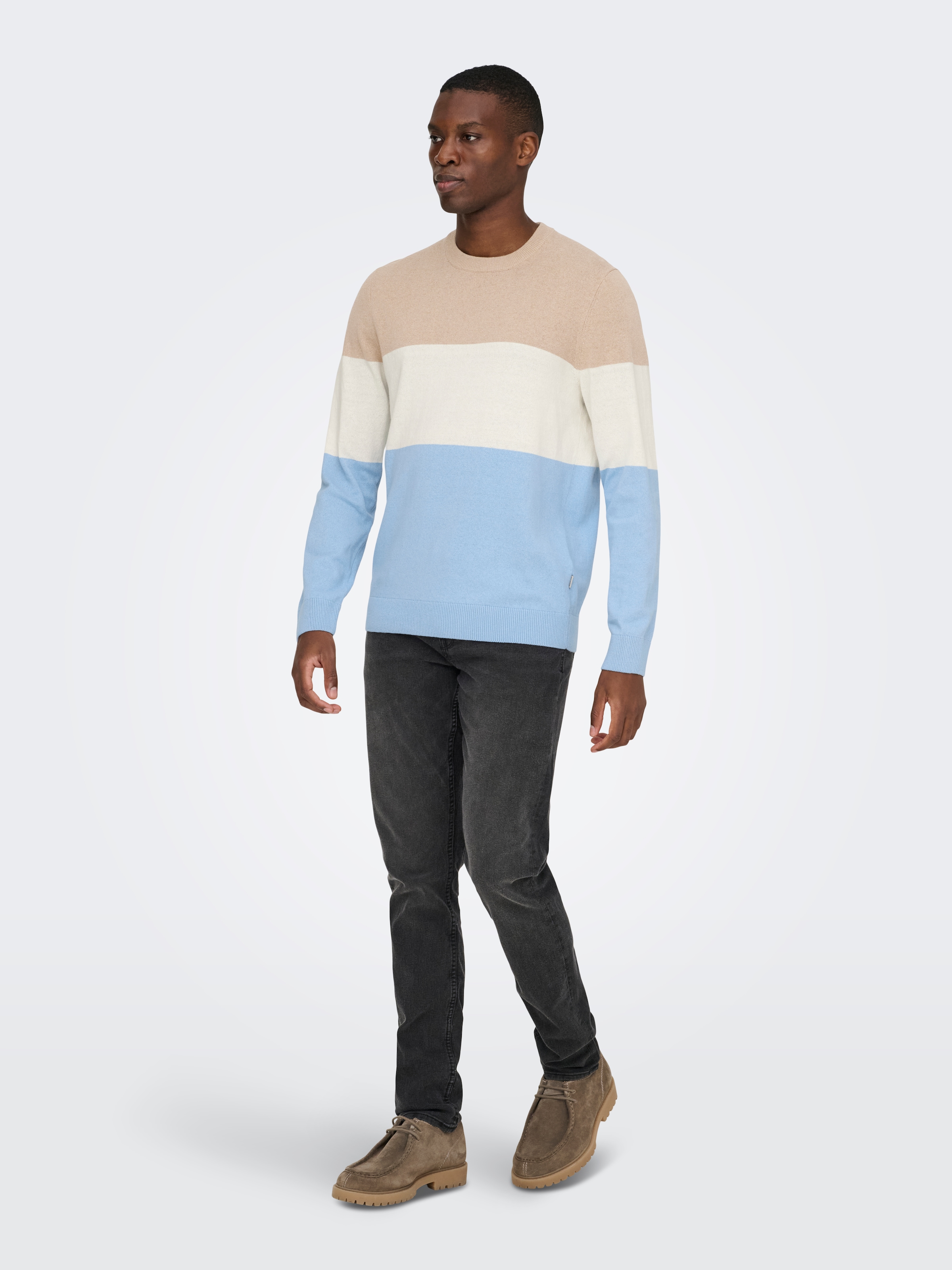 ONLY & SONS Rundhalspullover »ONSREX LIFE REG 12 CREW KNIT«