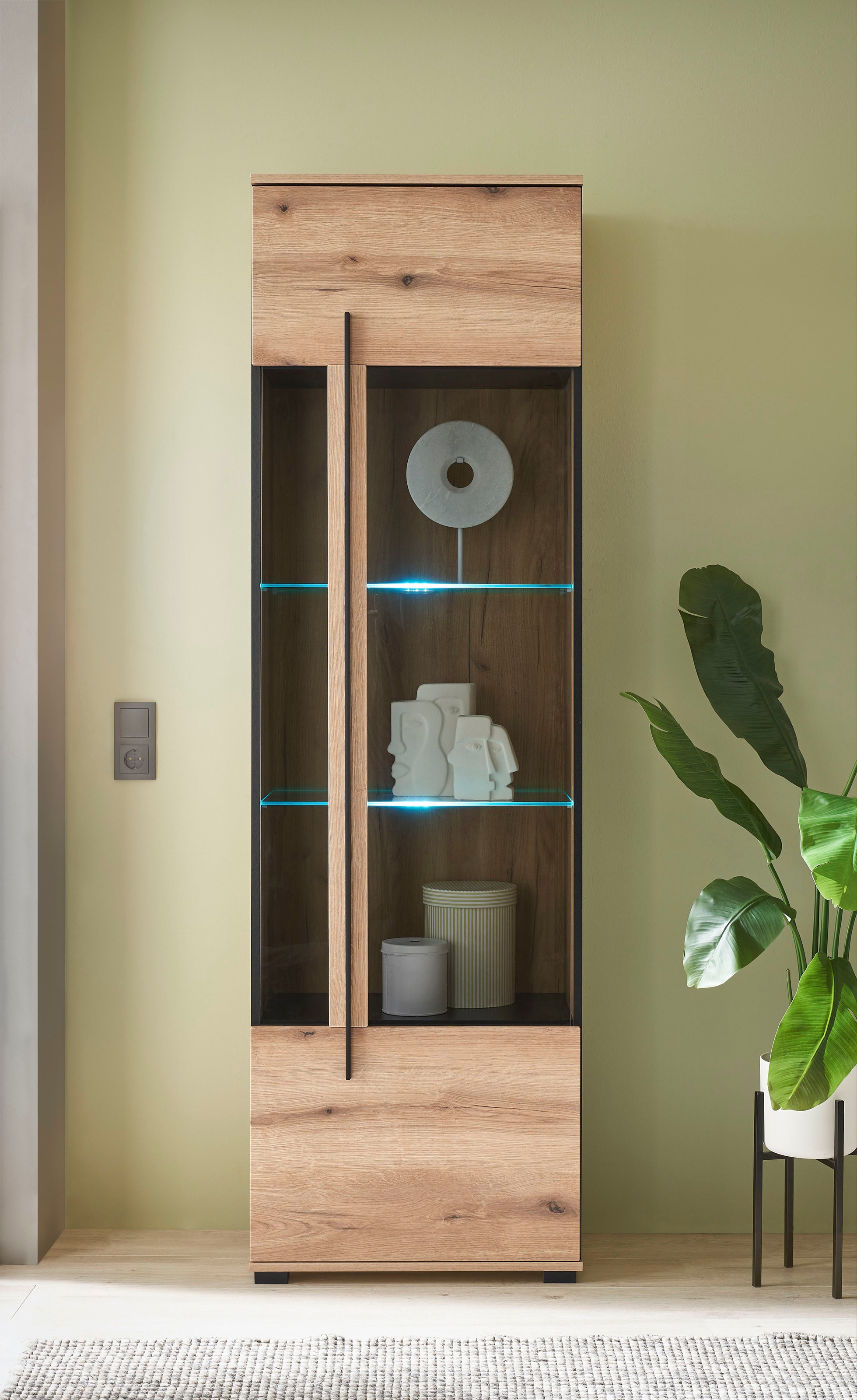 INOSIGN Vitrine »Cantara, Vitrinenschrank in Eiche Evoke oder weiß, Standvitrine«, schwarzer Stangengriff, ausreichend Stauraum, vielseitig einsetzbar