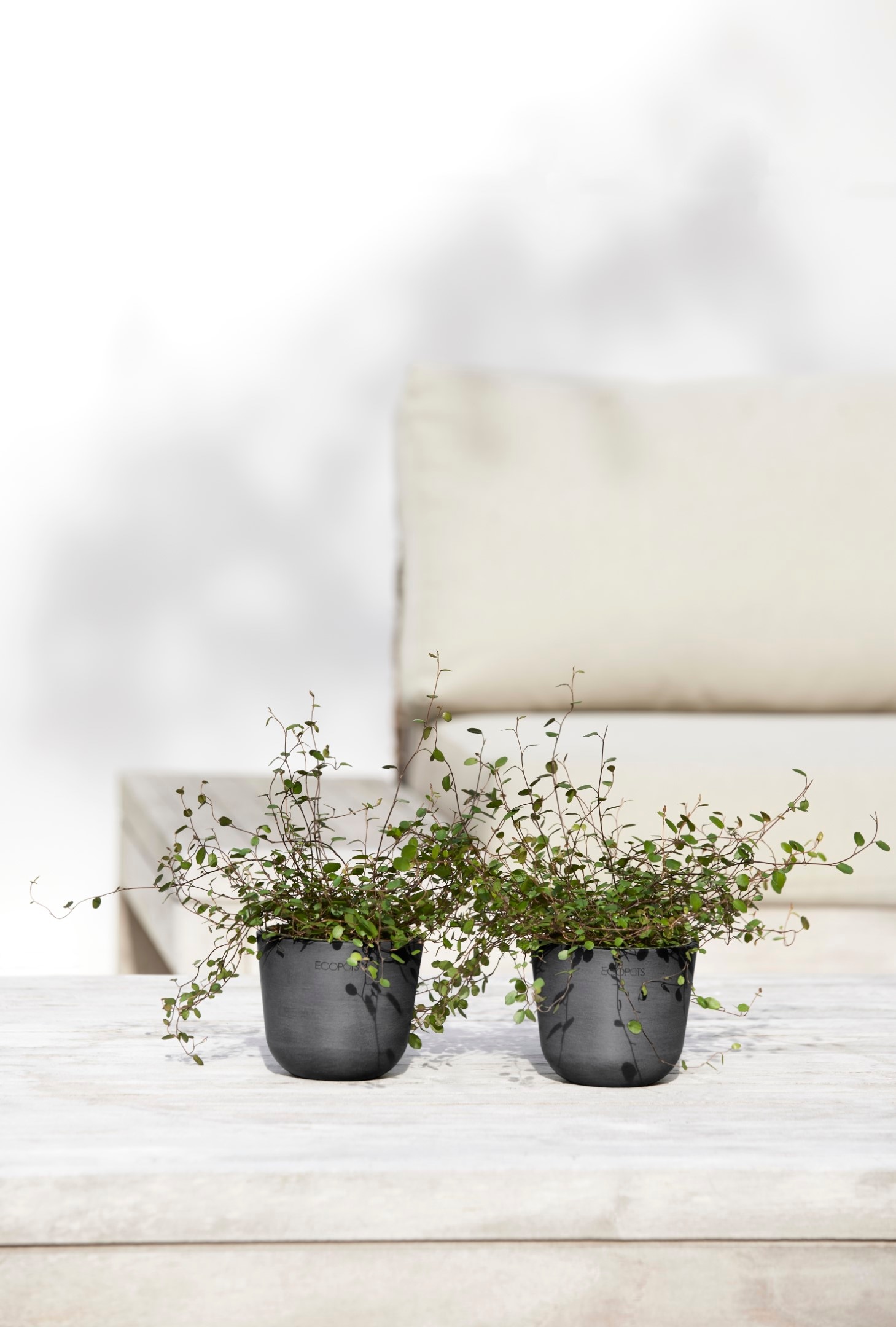 ECOPOTS Blumentopf »Oslo Mini 11,5 Dunkelgrau« für den Innenbereich
