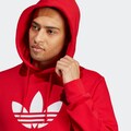 adidas Originals Sweatshirt »ADICOLOR CLASSICS TREFOIL HOODIE«