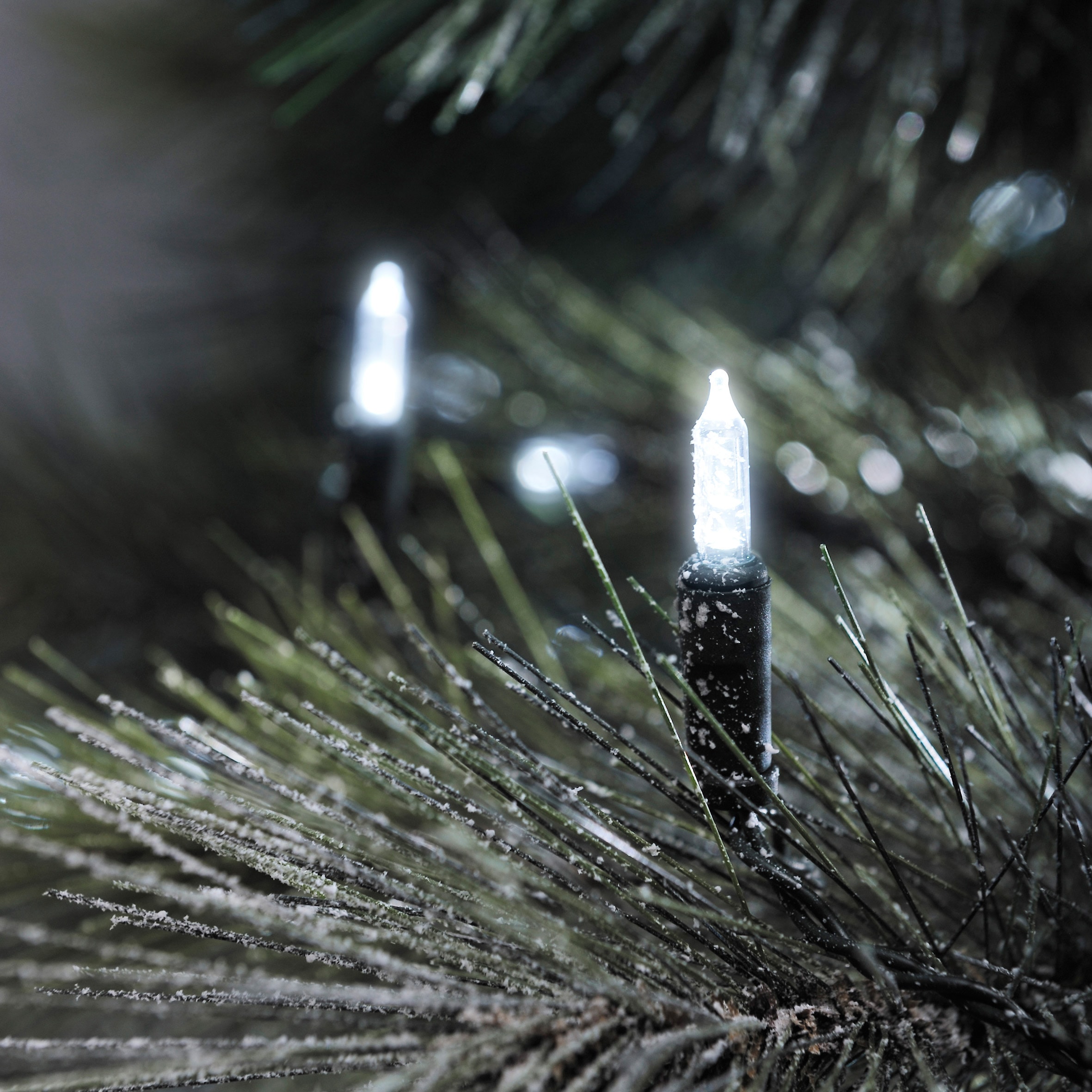 KONSTSMIDE LED-Lichterkette, Dioden 80 Stk. Flammen 80 Stk., Gesamtlänge 19,85m, grün, Lichterketten, LED Minilichterkette, 80 kalt weiße Dioden